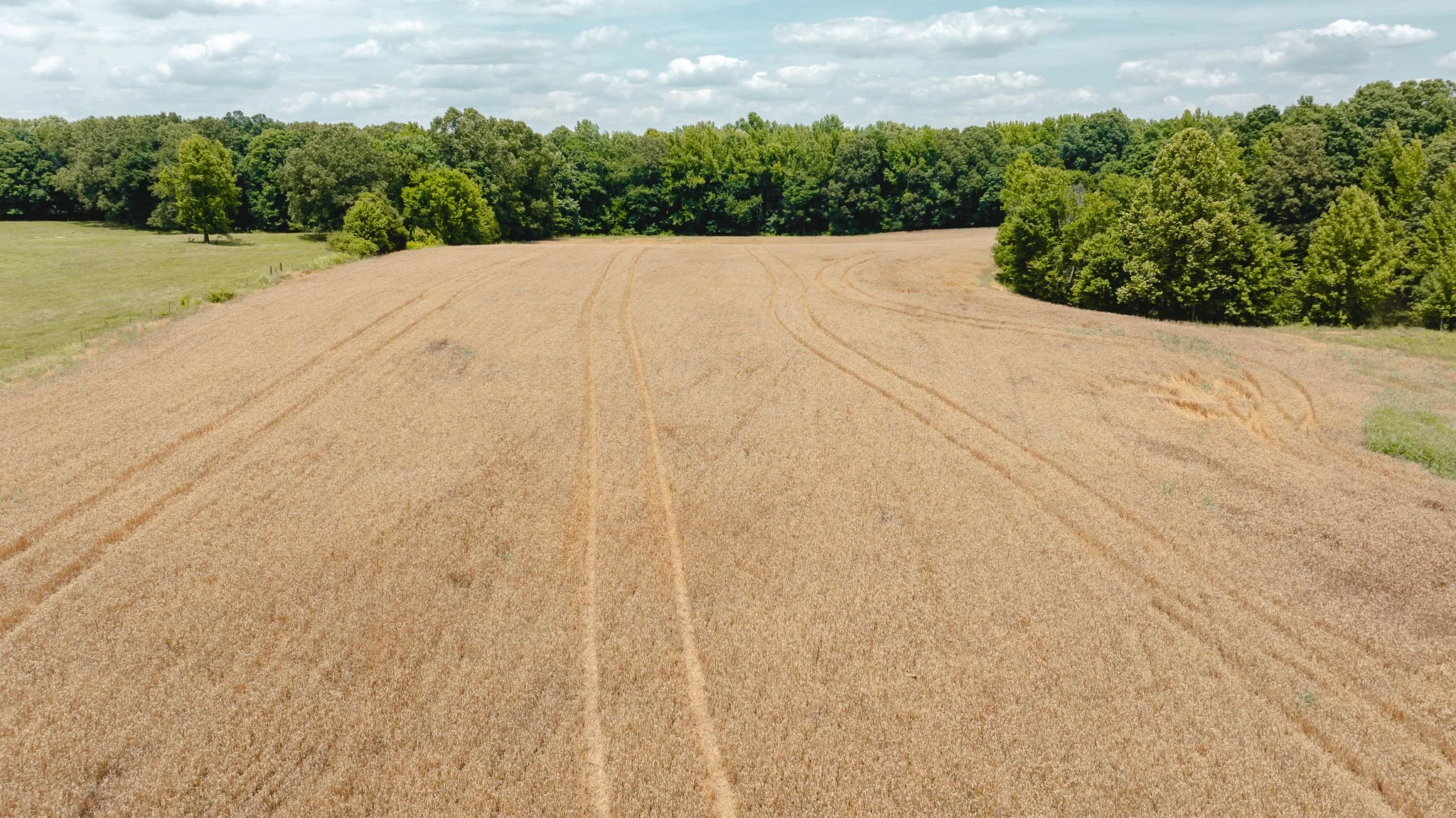 DJI_20260602204225_0019_D.jpg