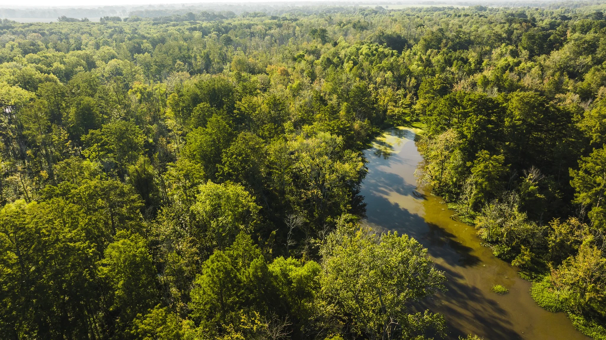 DJI_20250821081845_0013_D.jpg