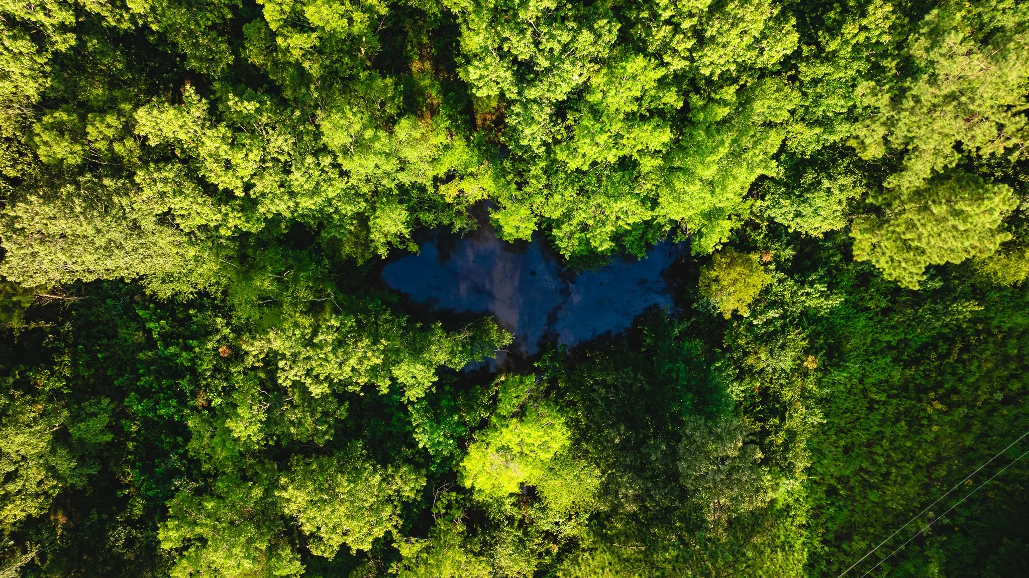 DJI_20260815154813_0041_D.jpg