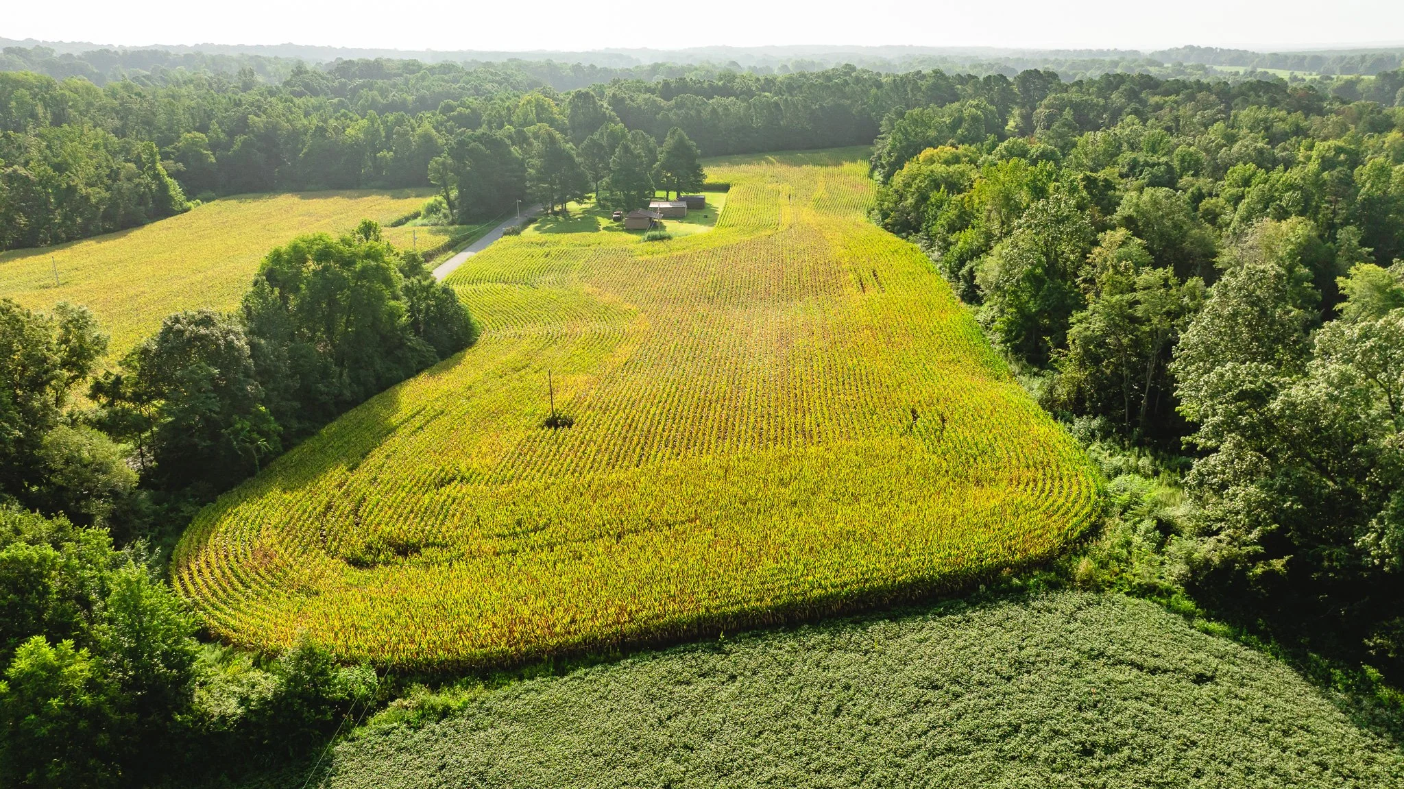 DJI_20260815154605_0034_D.jpg
