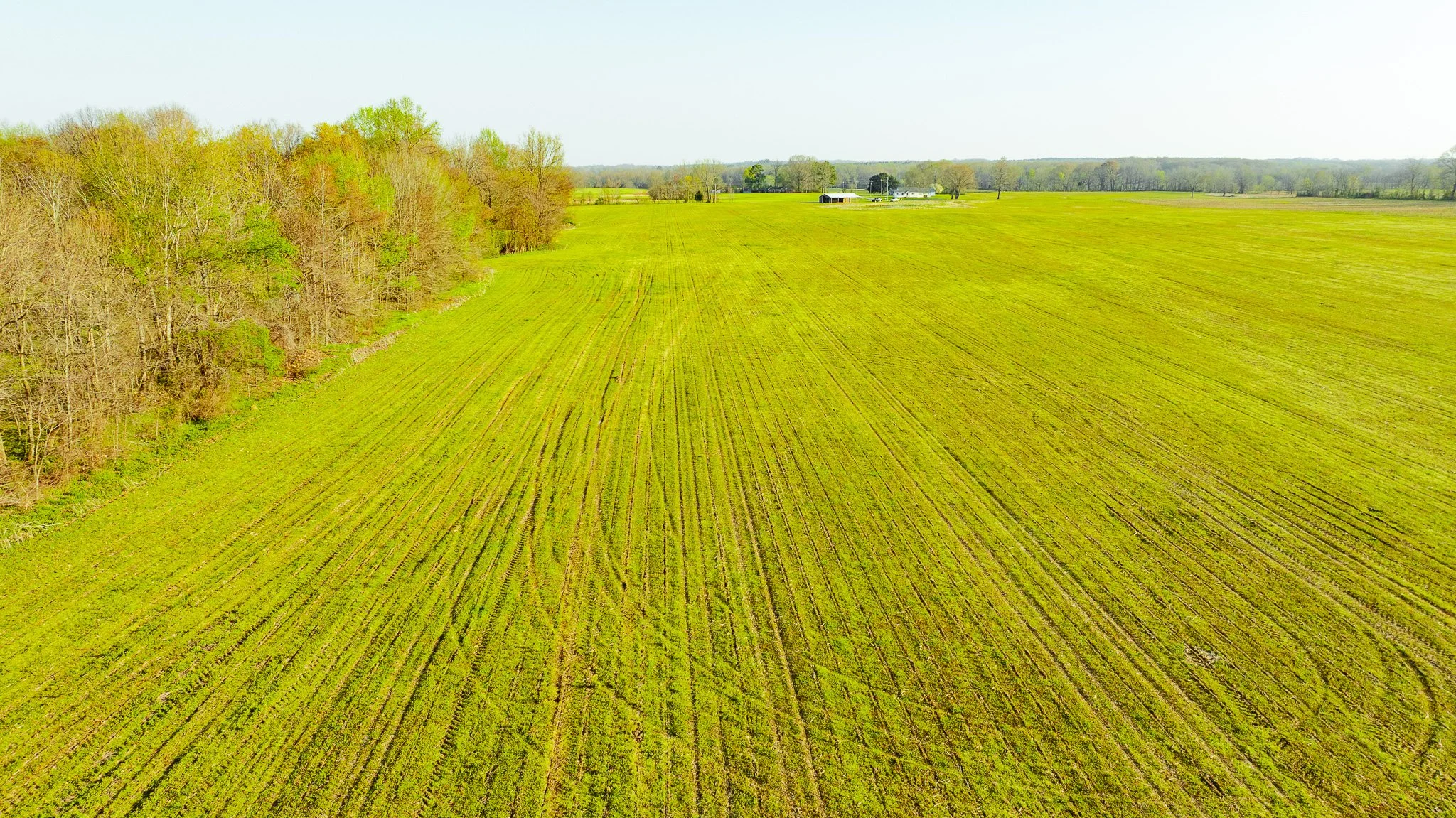 DJI_20260326084324_0019_D.jpg