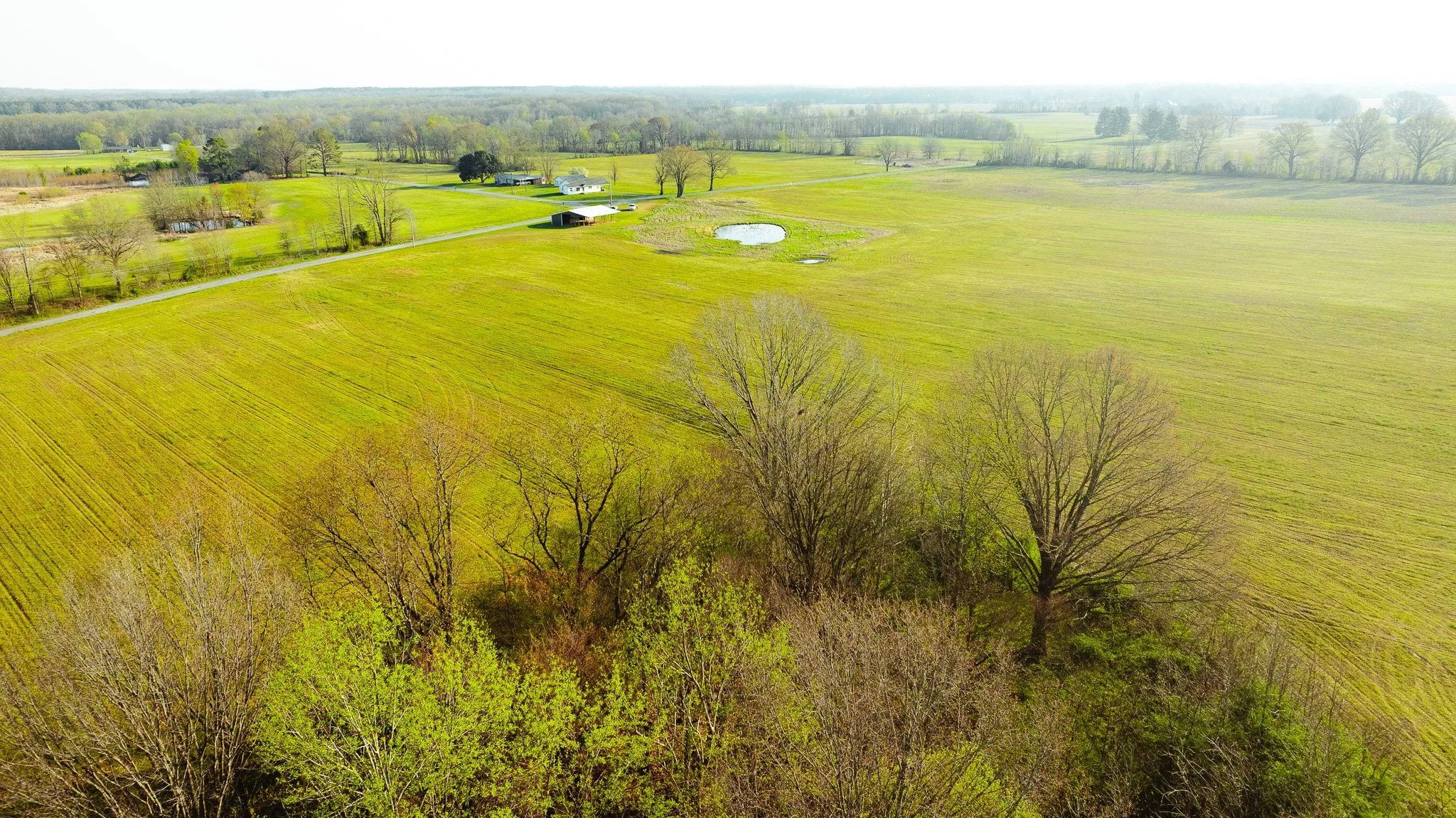 DJI_20260326085243_0035_D.jpg