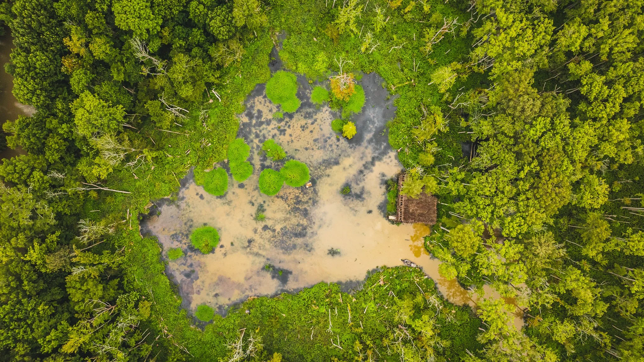 DJI_20250805080727_0045_D.jpg