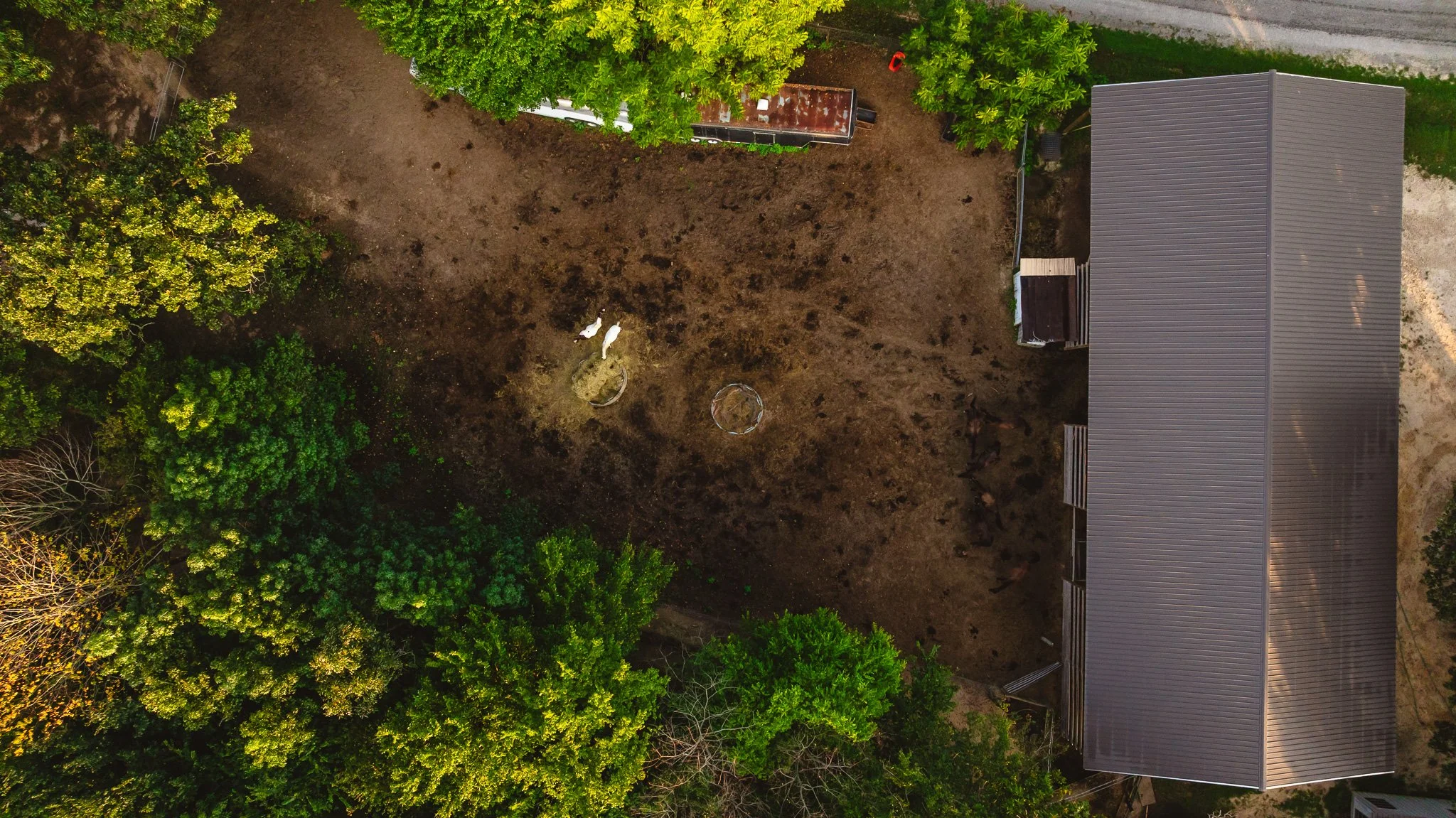 DJI_20260812143242_0140_D.jpg
