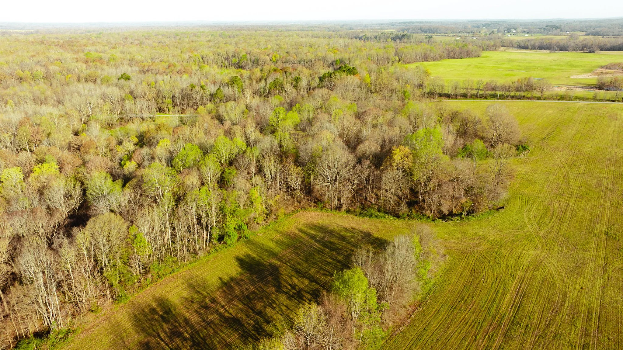DJI_20260326085138_0031_D.jpg