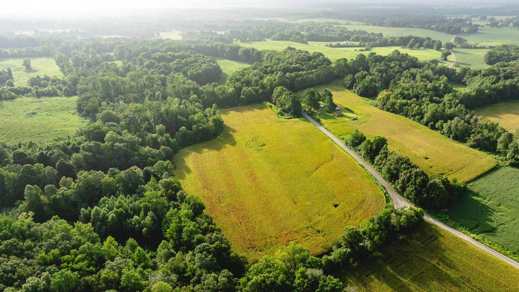 DJI_20260815153221_0001_D.jpg