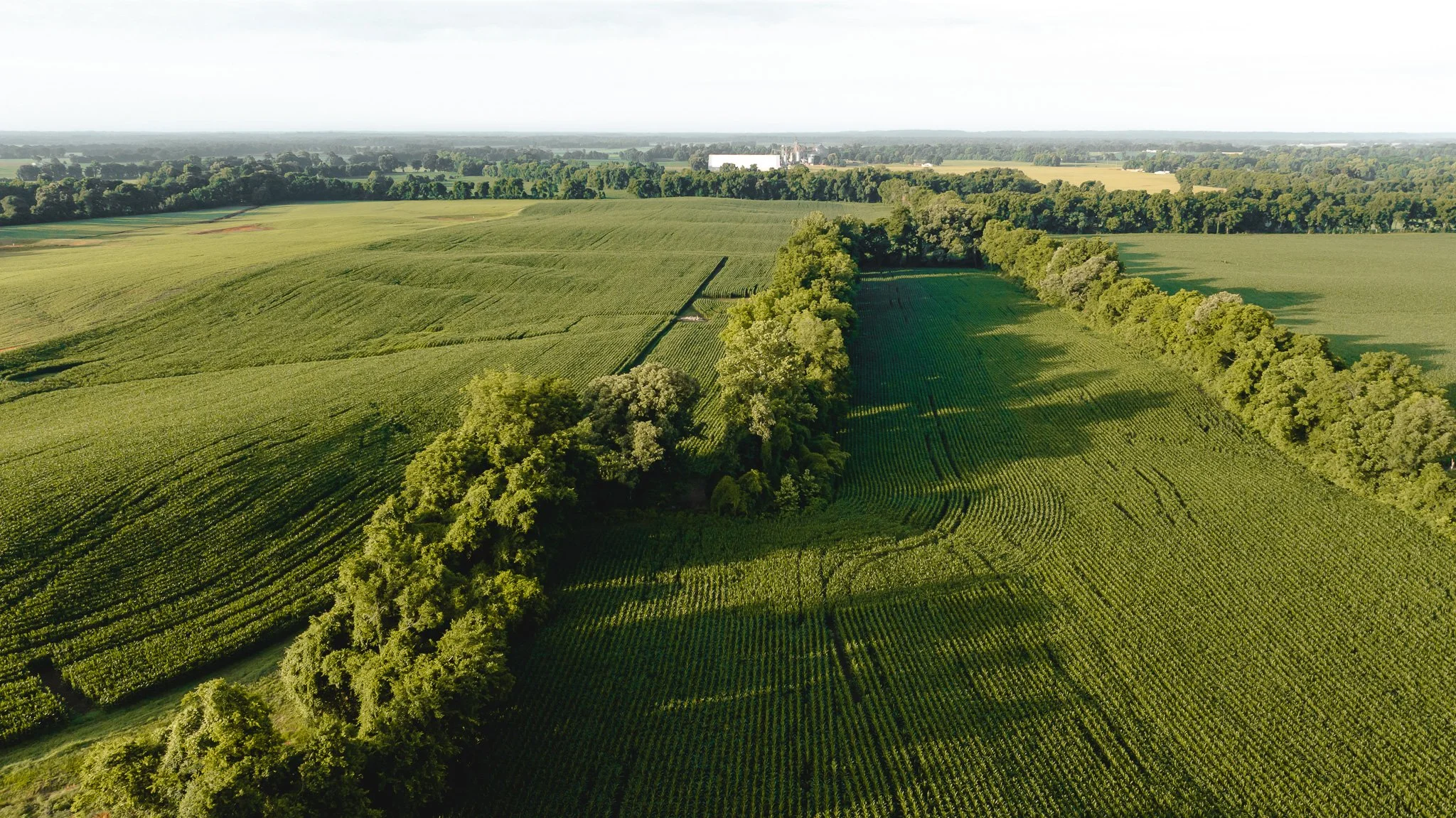 DJI_20260531140715_0086_D.jpg