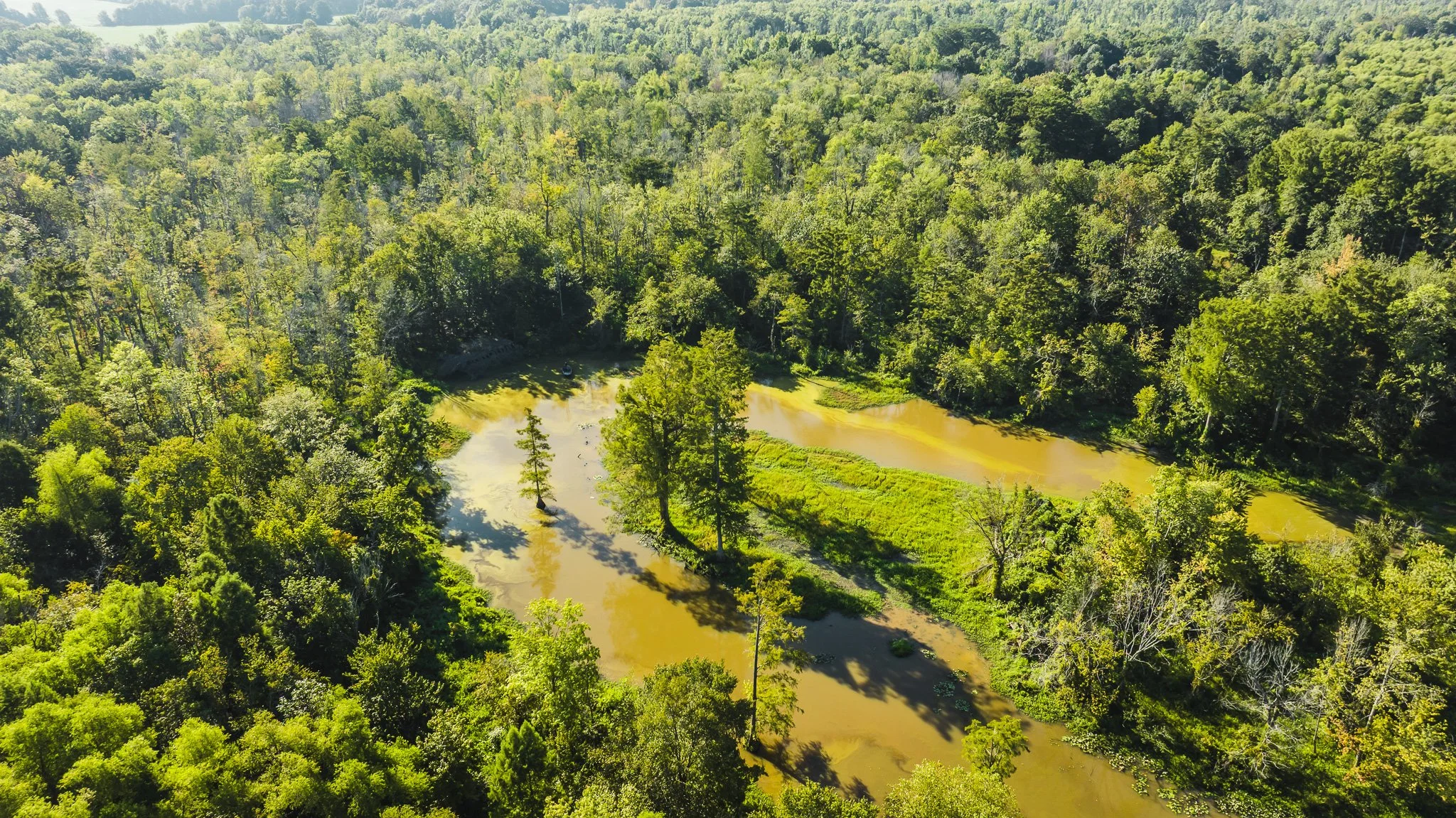 DJI_20250821085629_0045_D.jpg