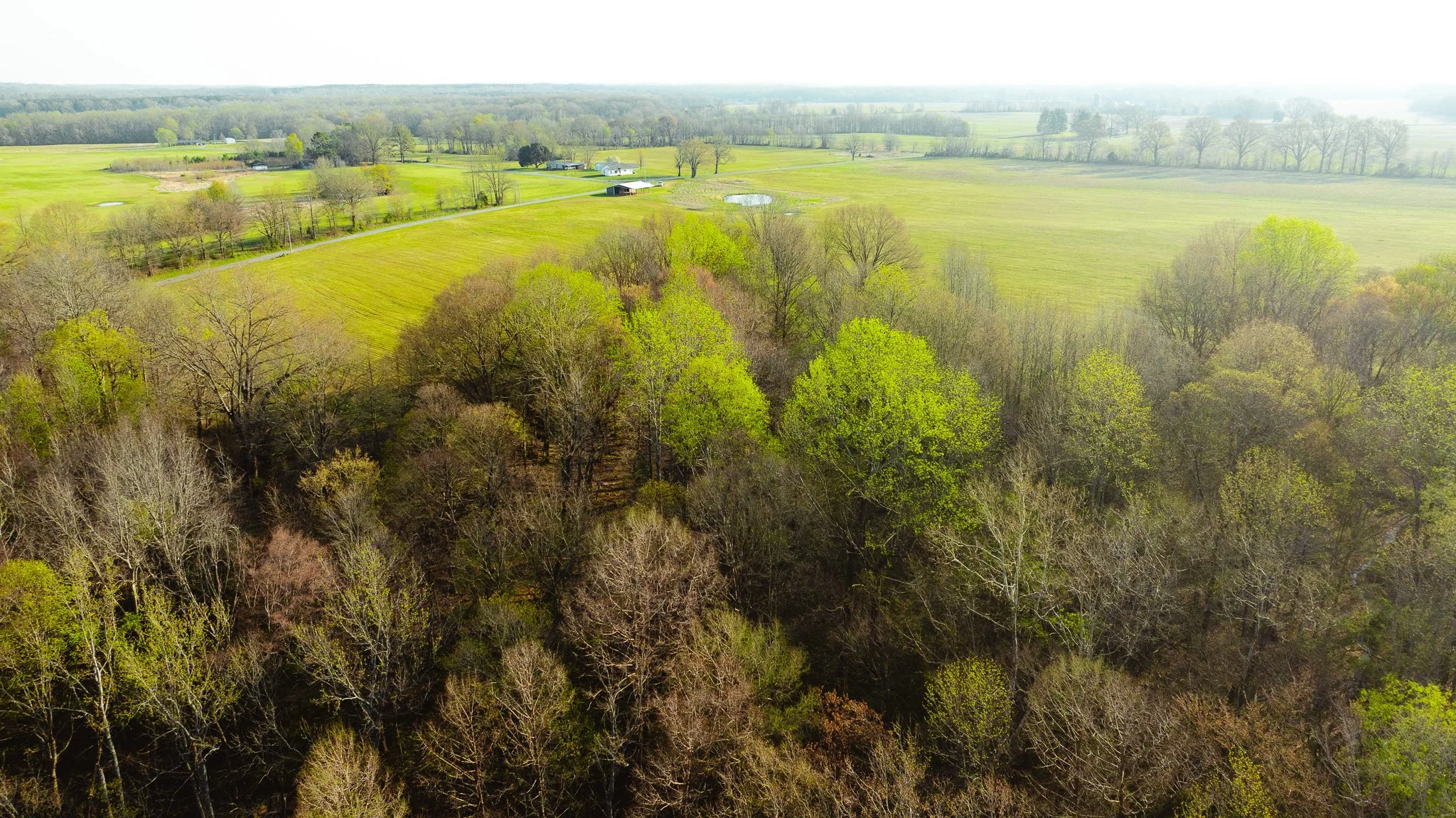 DJI_20260326085228_0034_D.jpg