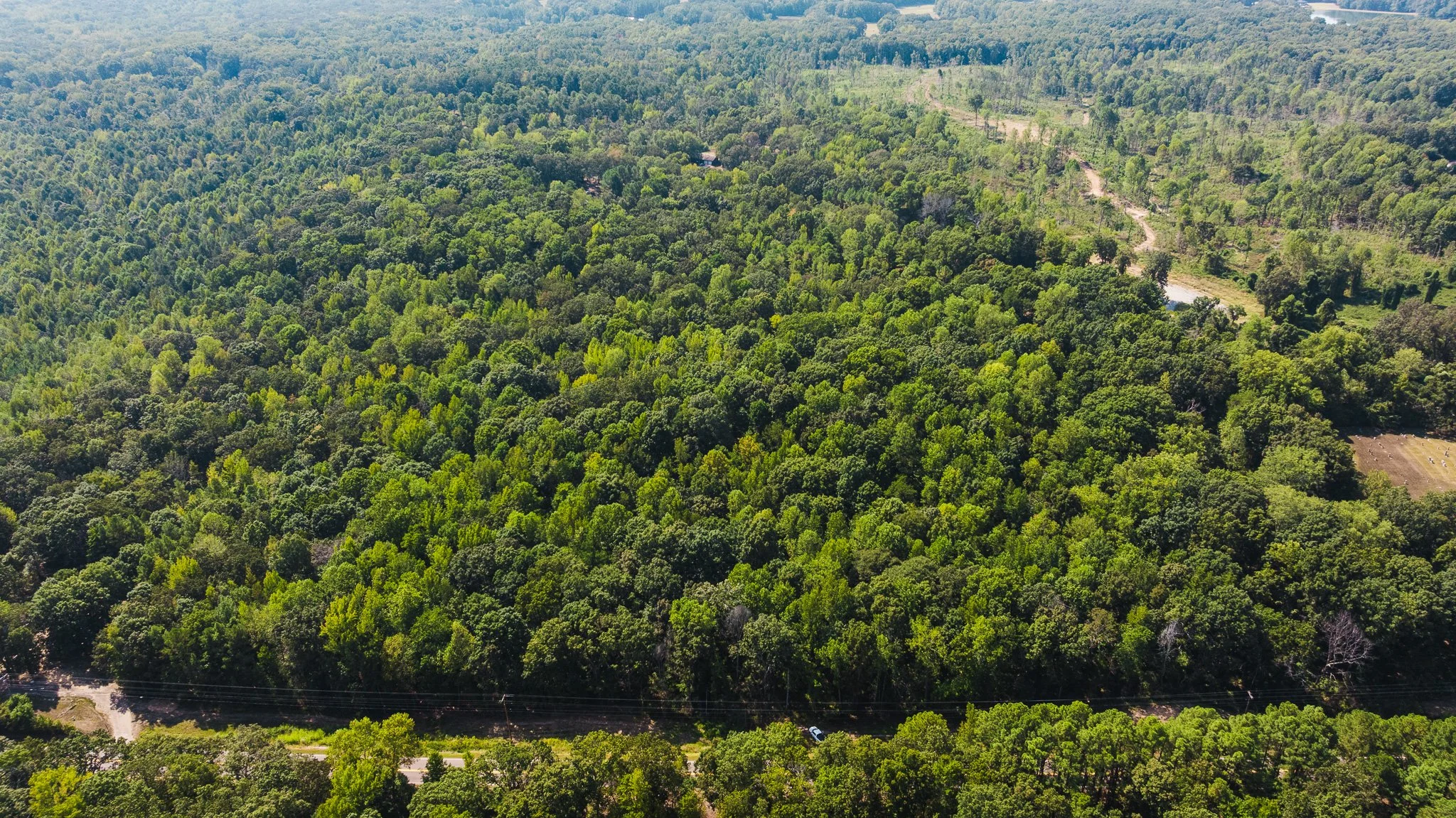 DJI_20250911111429_0029_D.jpg