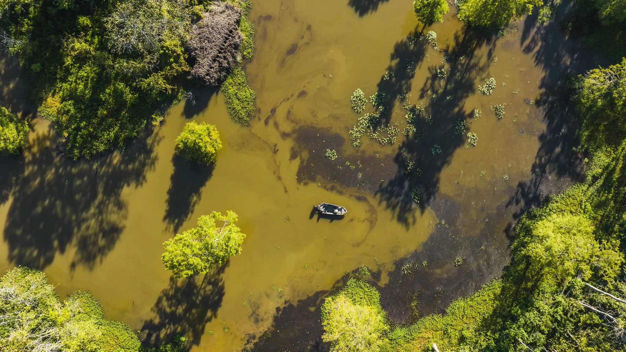 DJI_20250821082900_0030_D.jpg