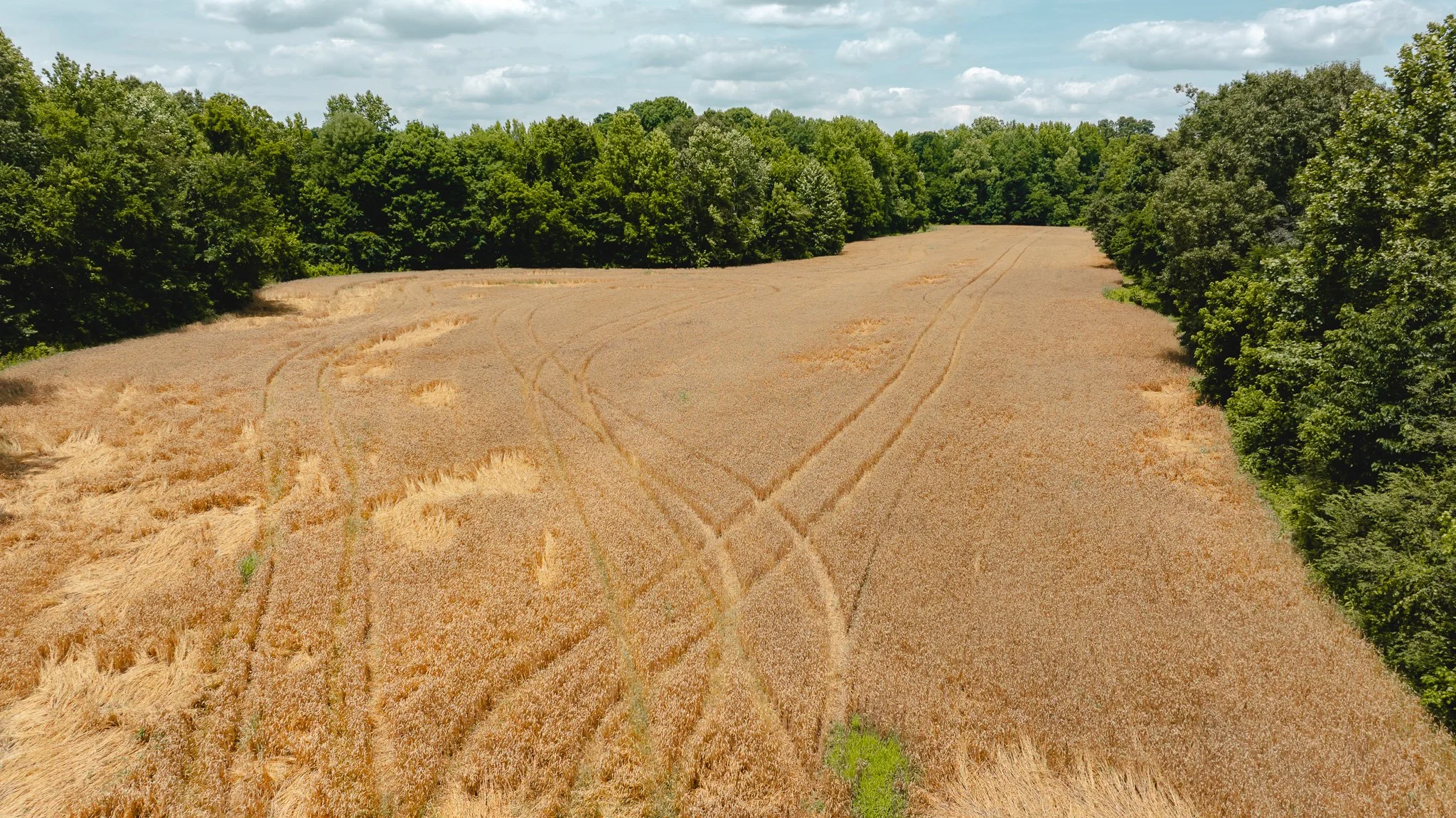 DJI_20260602203823_0004_D.jpg