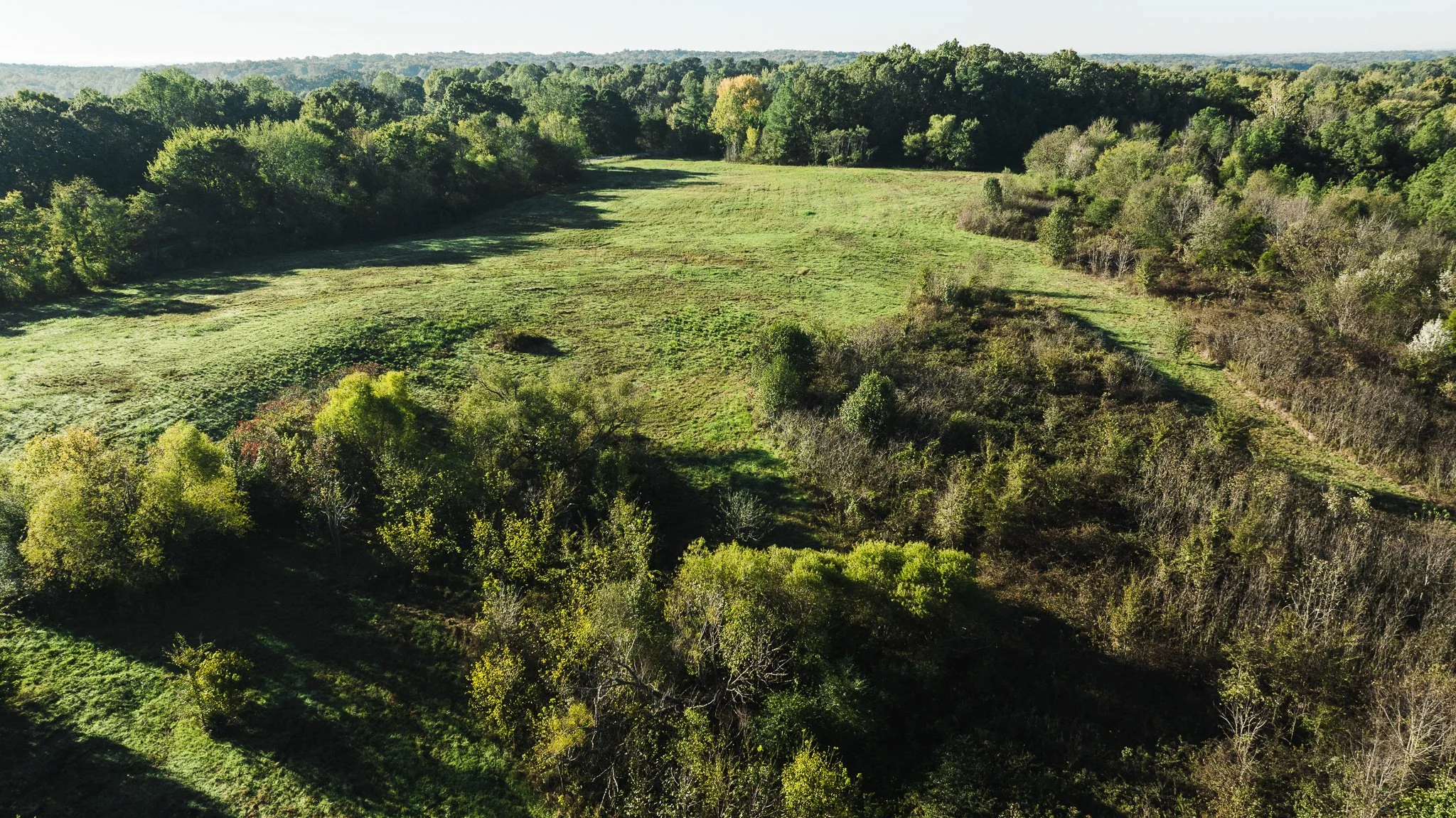 DJI_20251014084758_0006_D.jpg