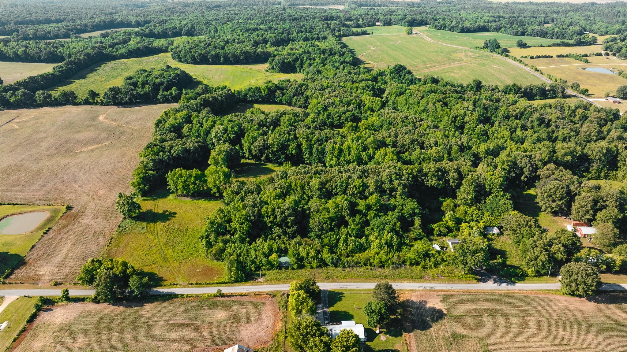 DJI_20260511155539_0003_D.jpg
