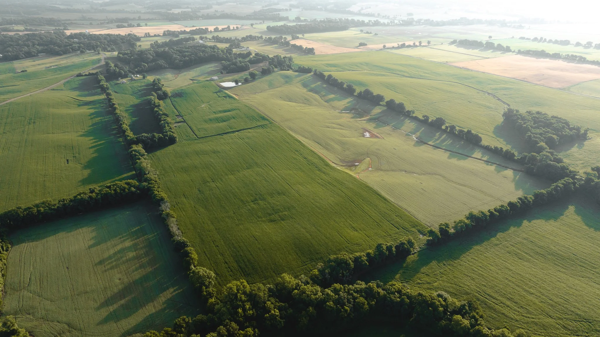 DJI_20260531140856_0088_D.jpg