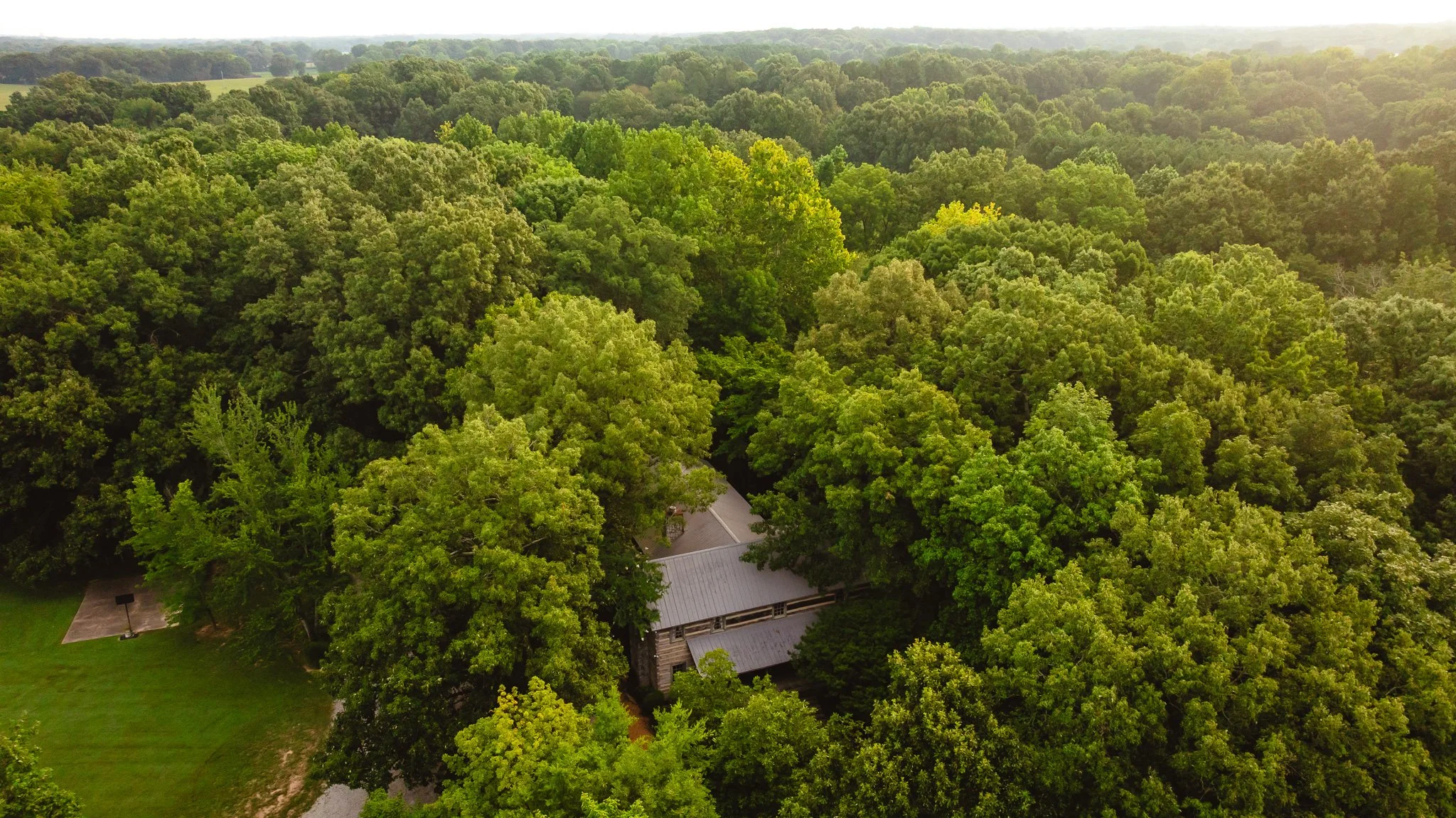 DJI_20260803142238_0055_D.jpg