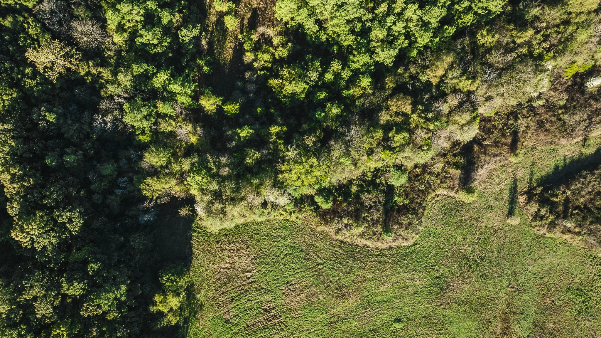 DJI_20251014084905_0009_D.jpg