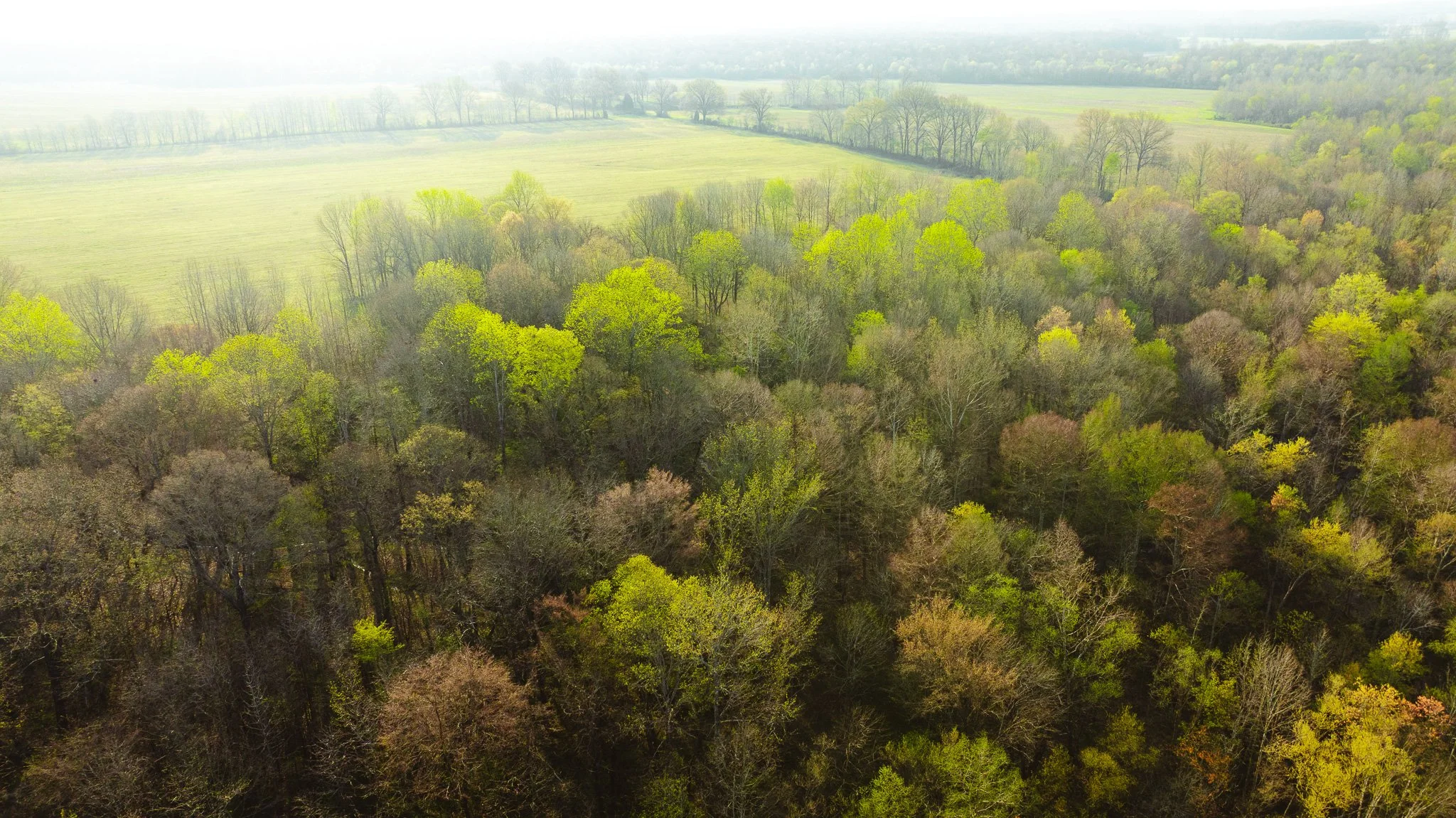 DJI_20260326084138_0013_D.jpg