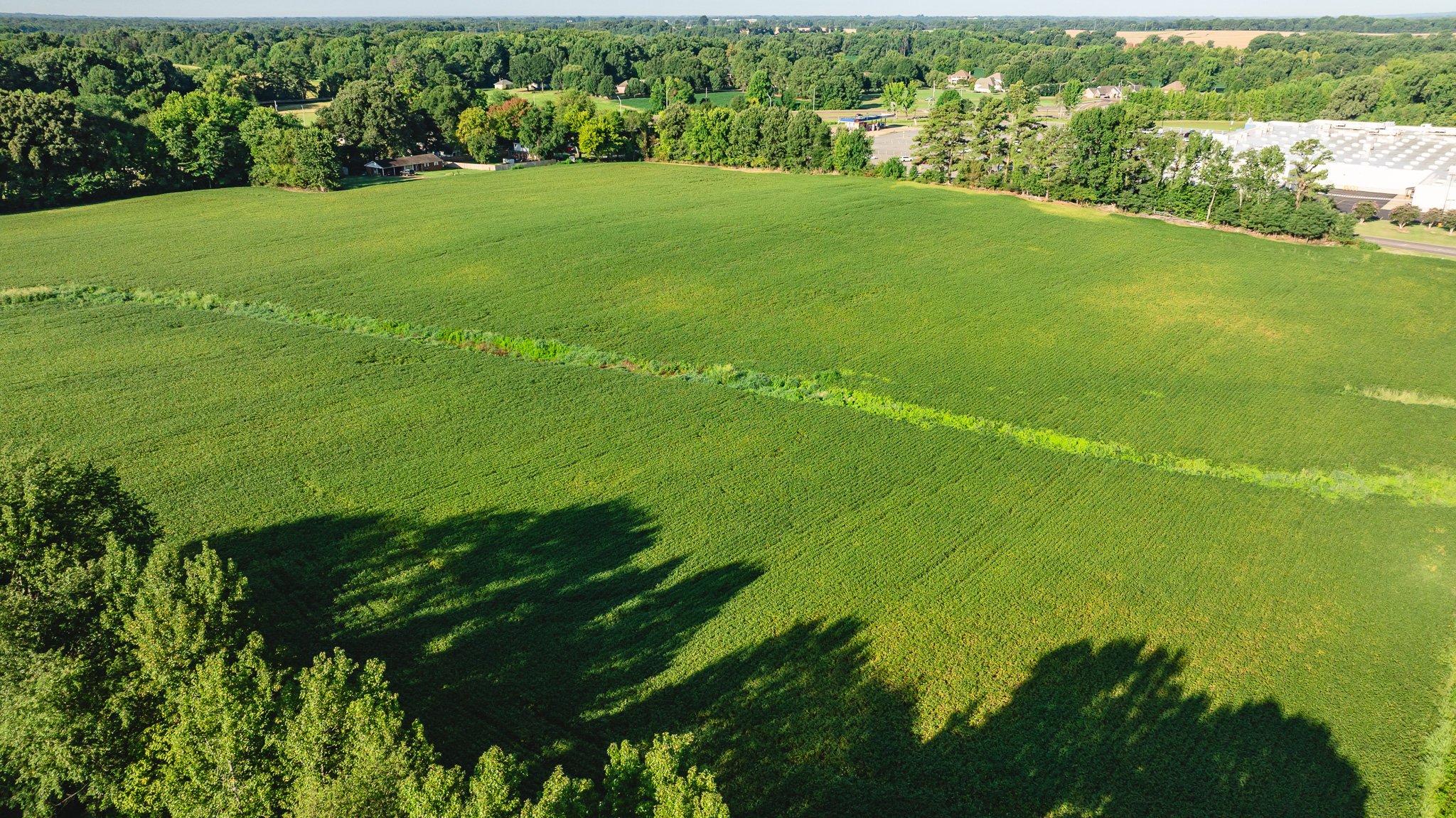 DJI_20260816154417_0011_D.jpg