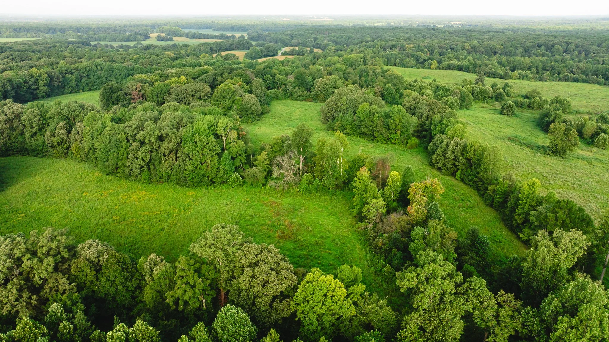 DJI_20260815153447_0008_D.jpg