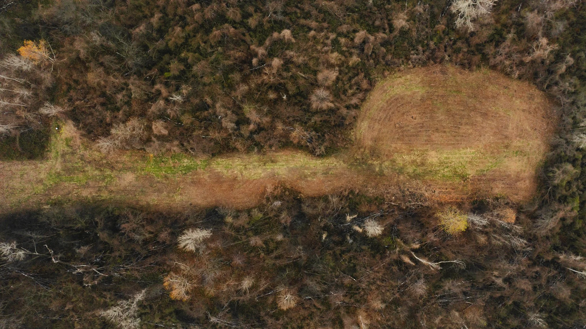DJI_20251204095233_0024_D.jpg