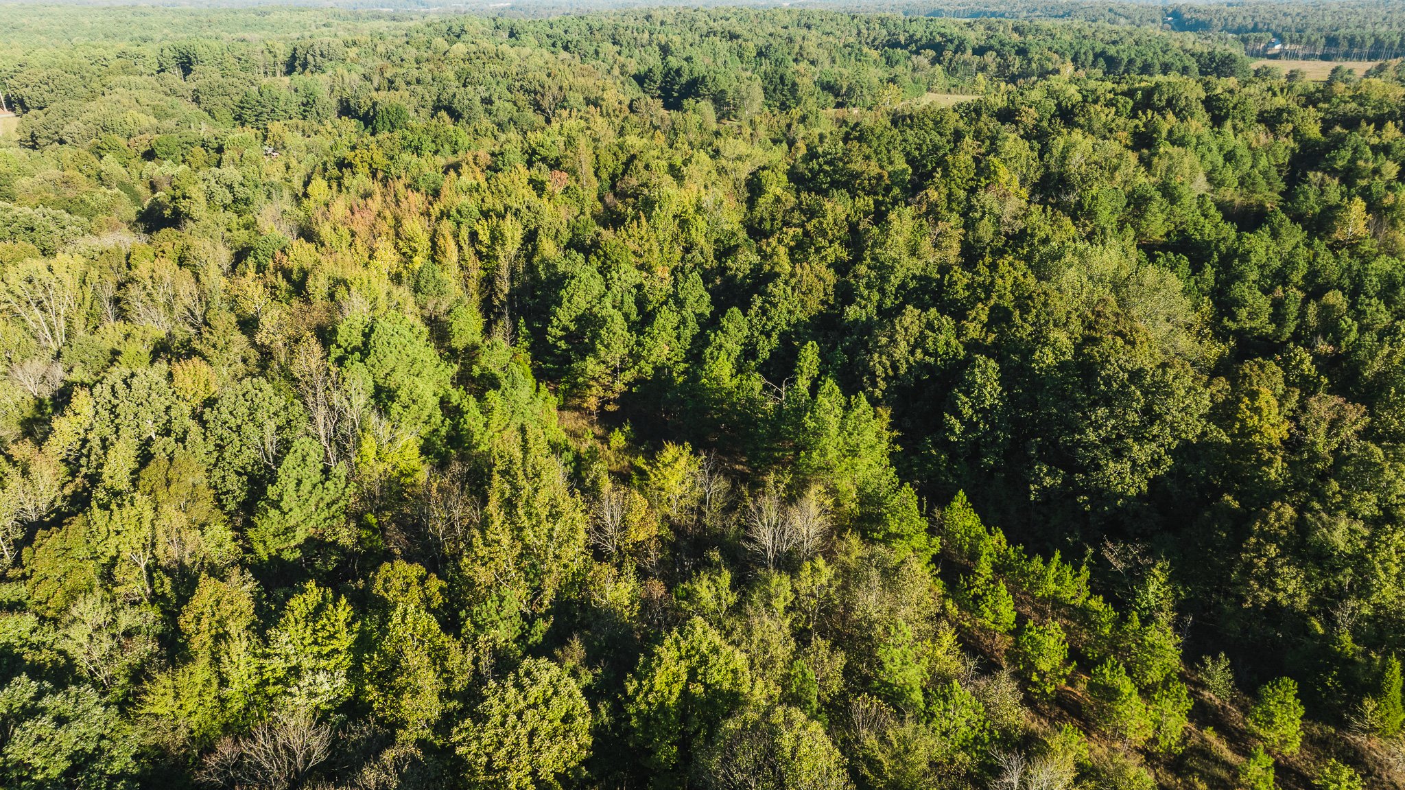 DJI_20251014084940_0011_D.jpg