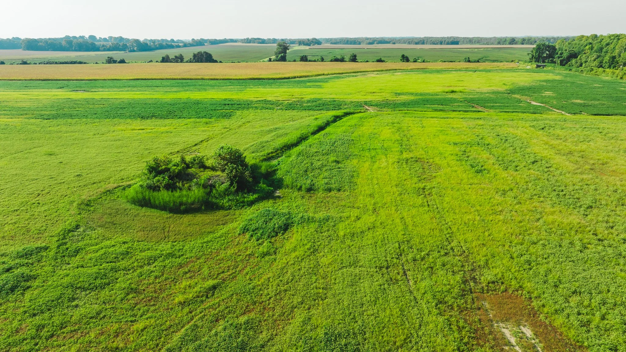DJI_20250915092003_0015_D.jpg
