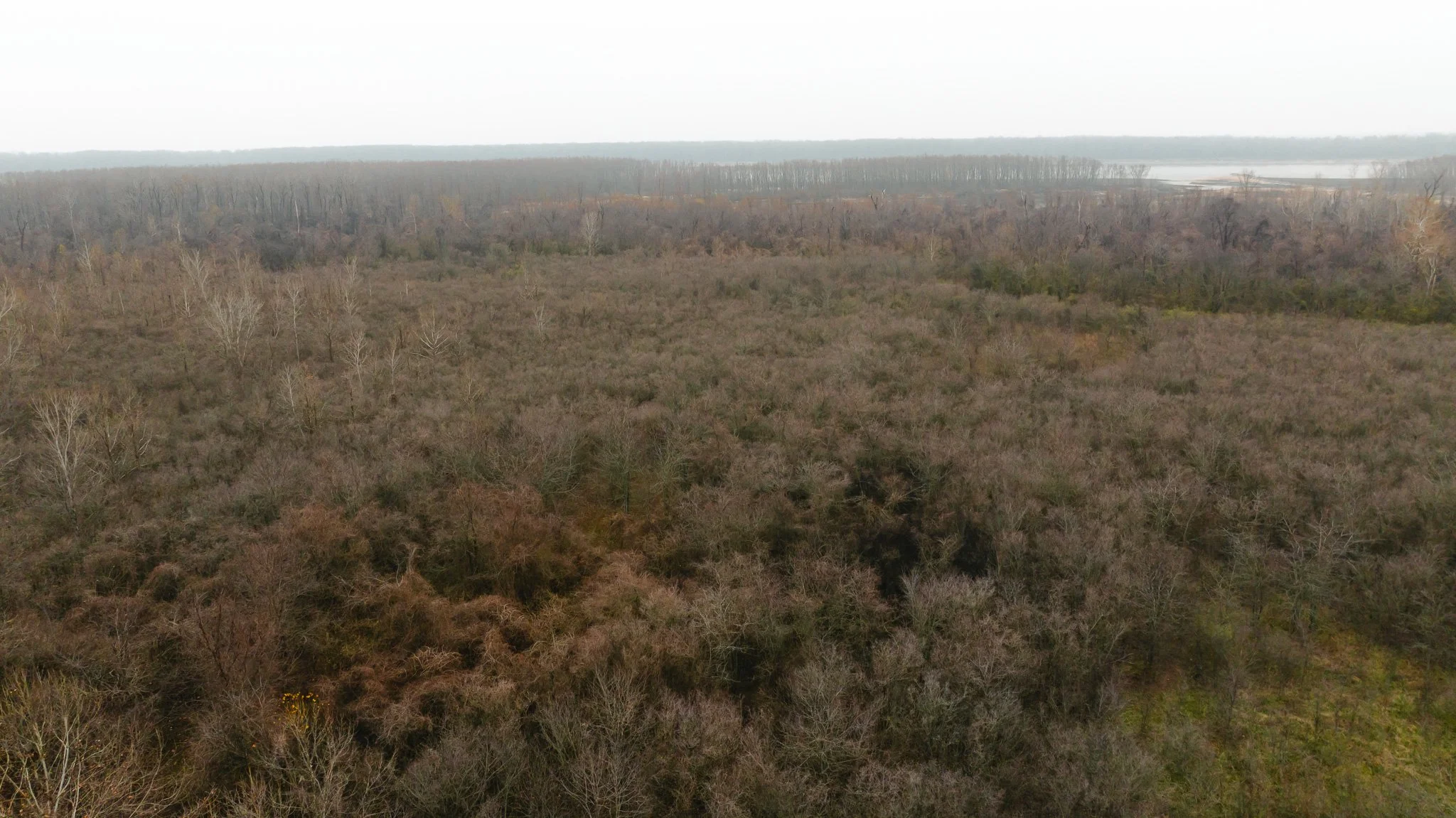 DJI_20251204095627_0034_D.jpg