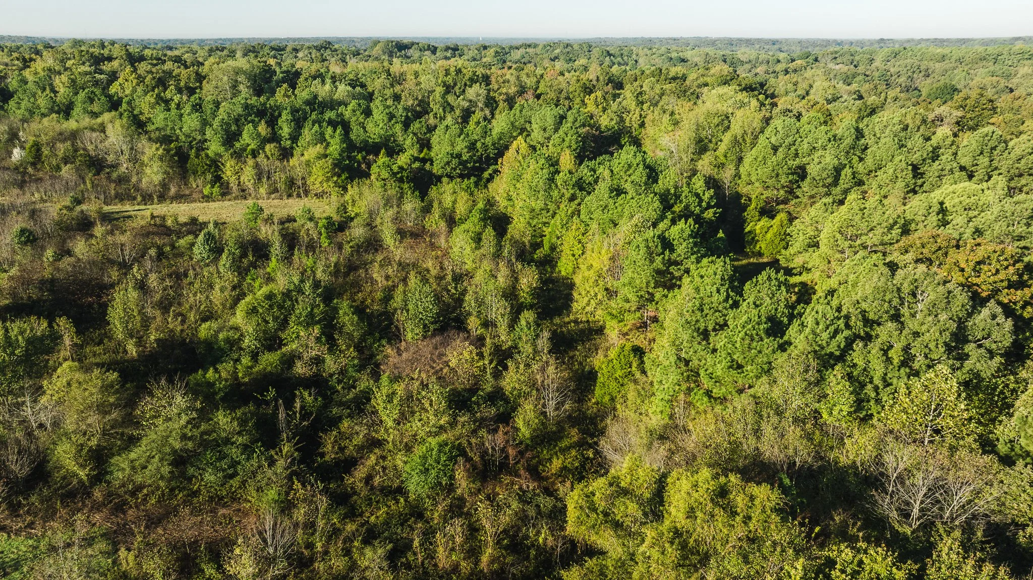 DJI_20251014085110_0017_D.jpg