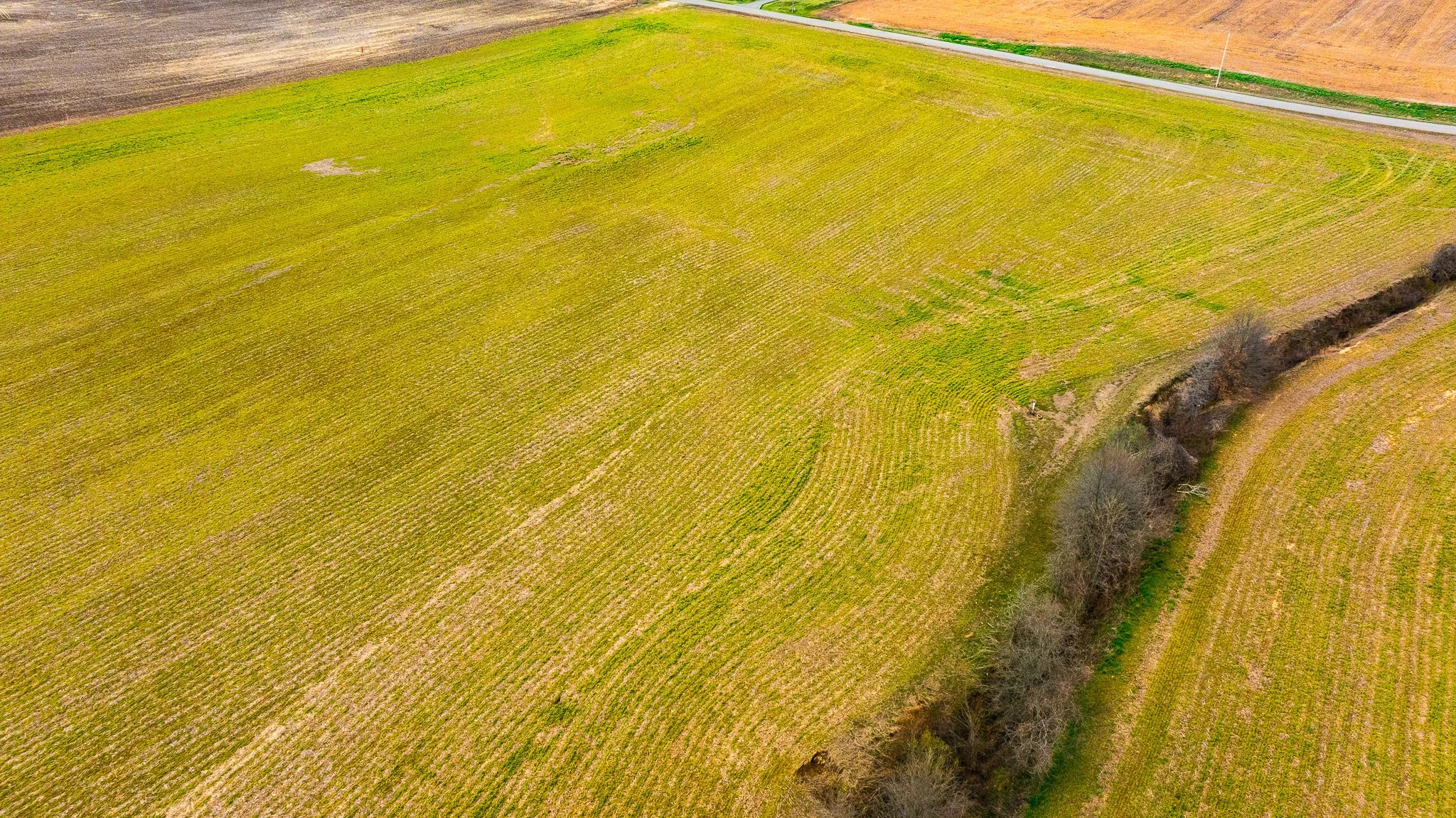 DJI_20260319151854_0021_D.jpg