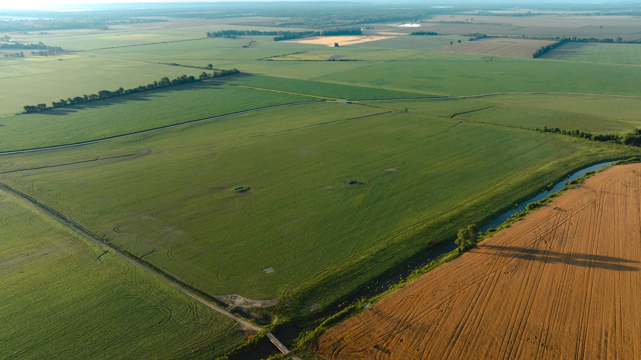 DJI_20260602134411_0004_D.jpg