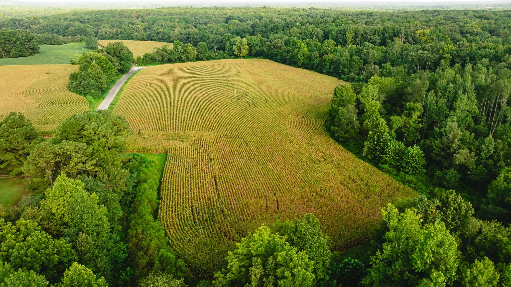 DJI_20260815153637_0014_D.jpg