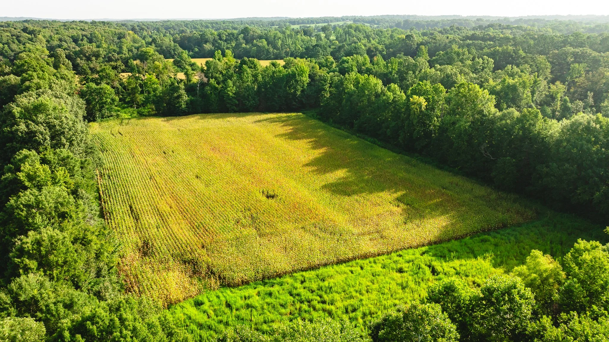 DJI_20260815154932_0046_D.jpg
