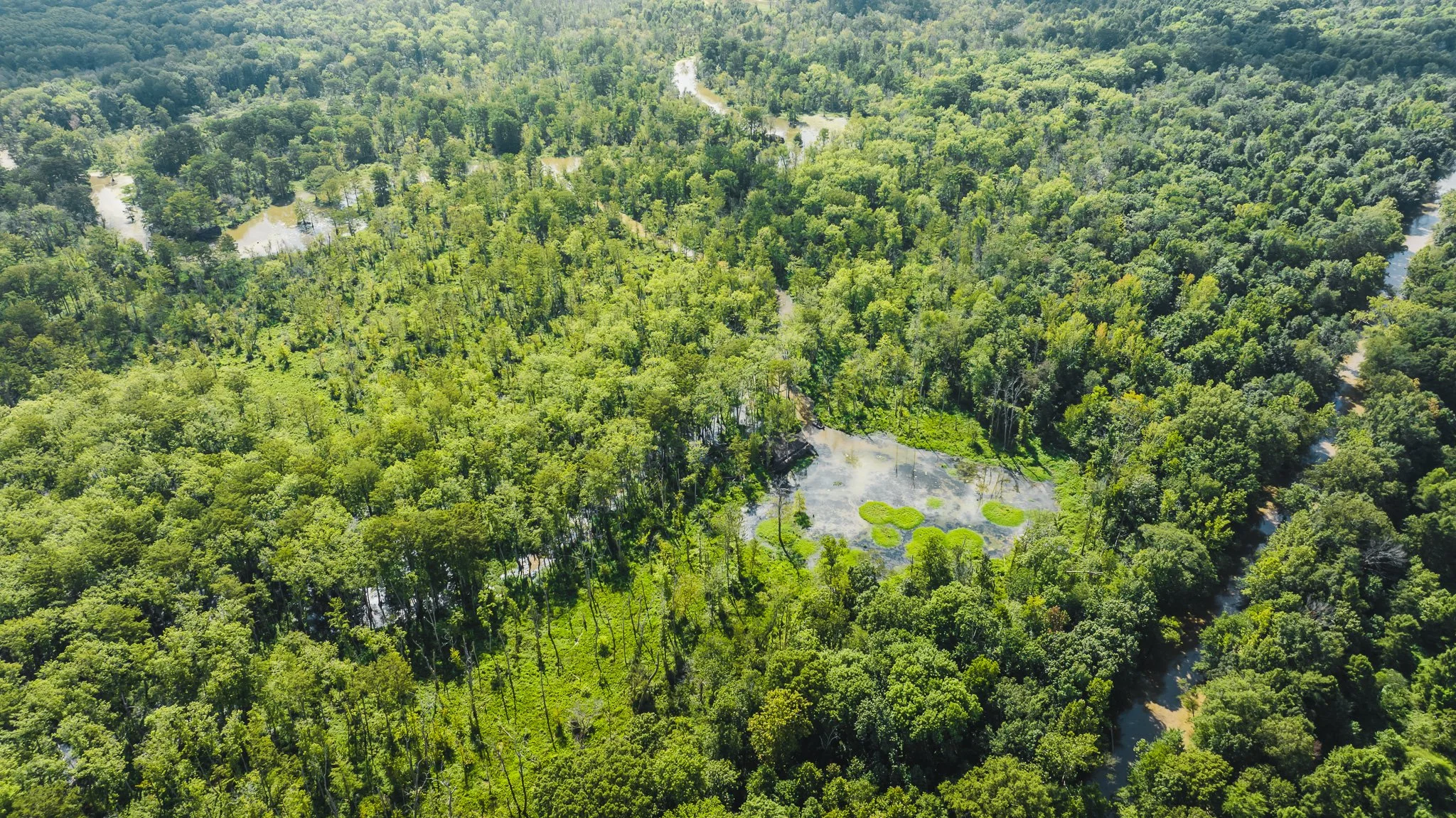 DJI_20250821102707_0105_D.jpg