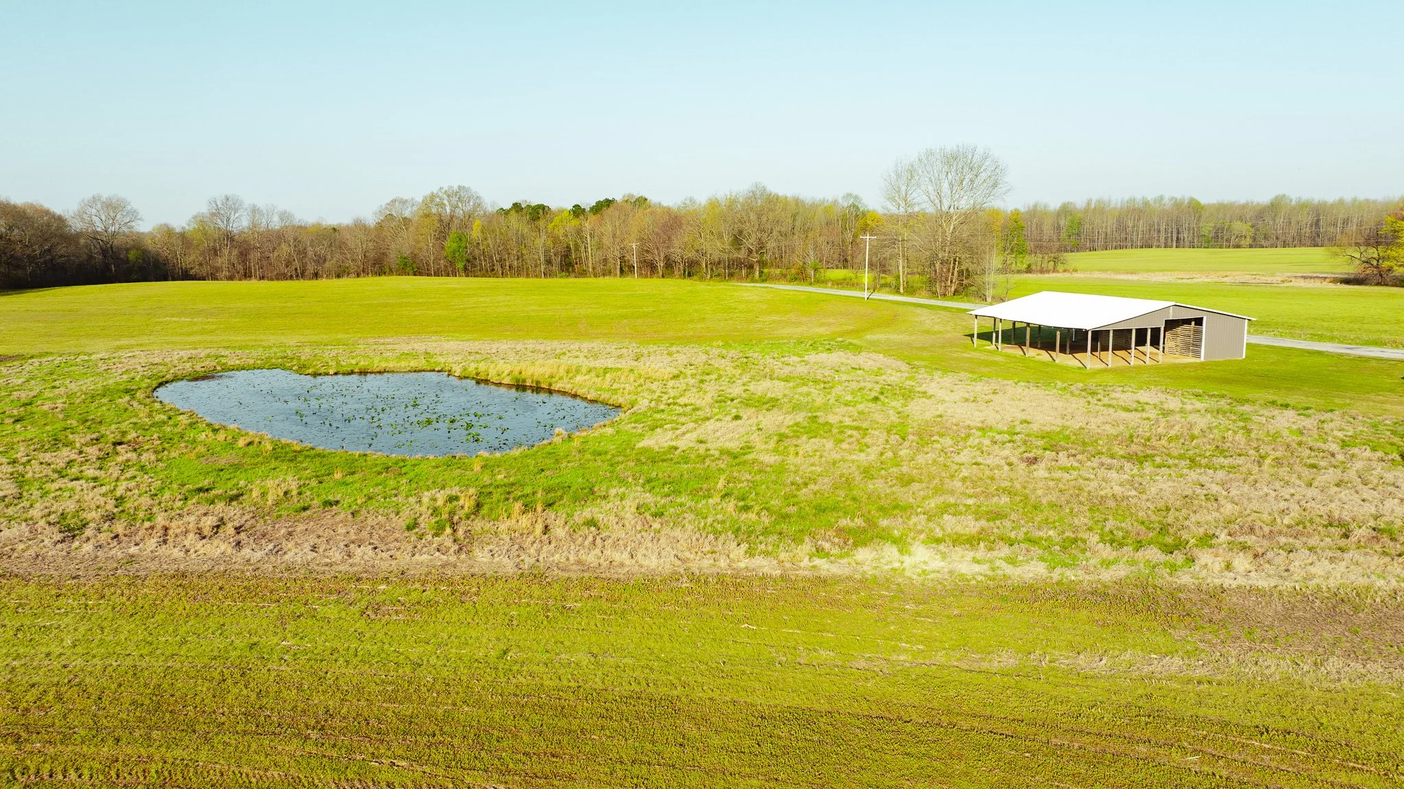 DJI_20260326084801_0026_D.jpg