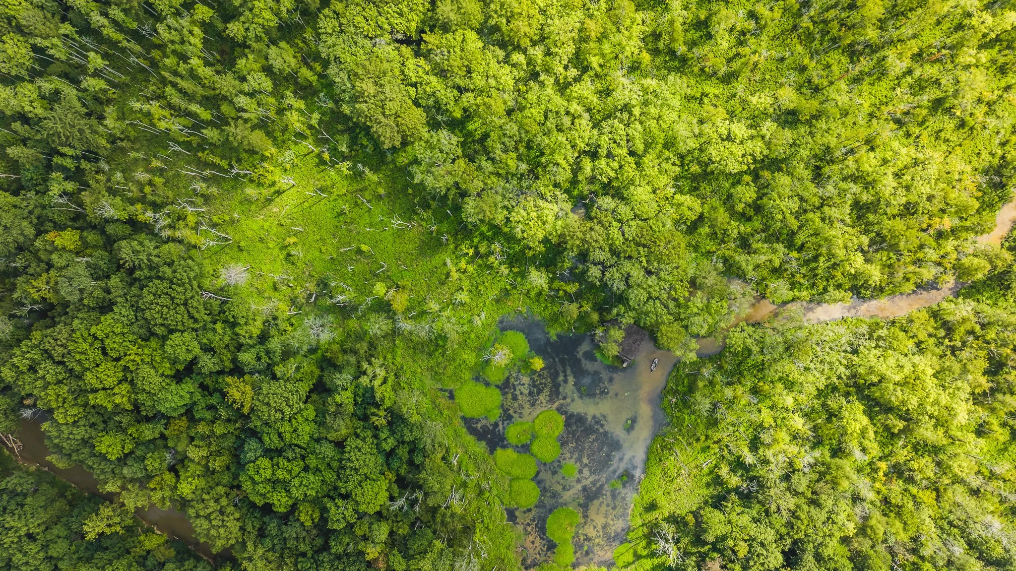 DJI_20250821102222_0097_D.jpg