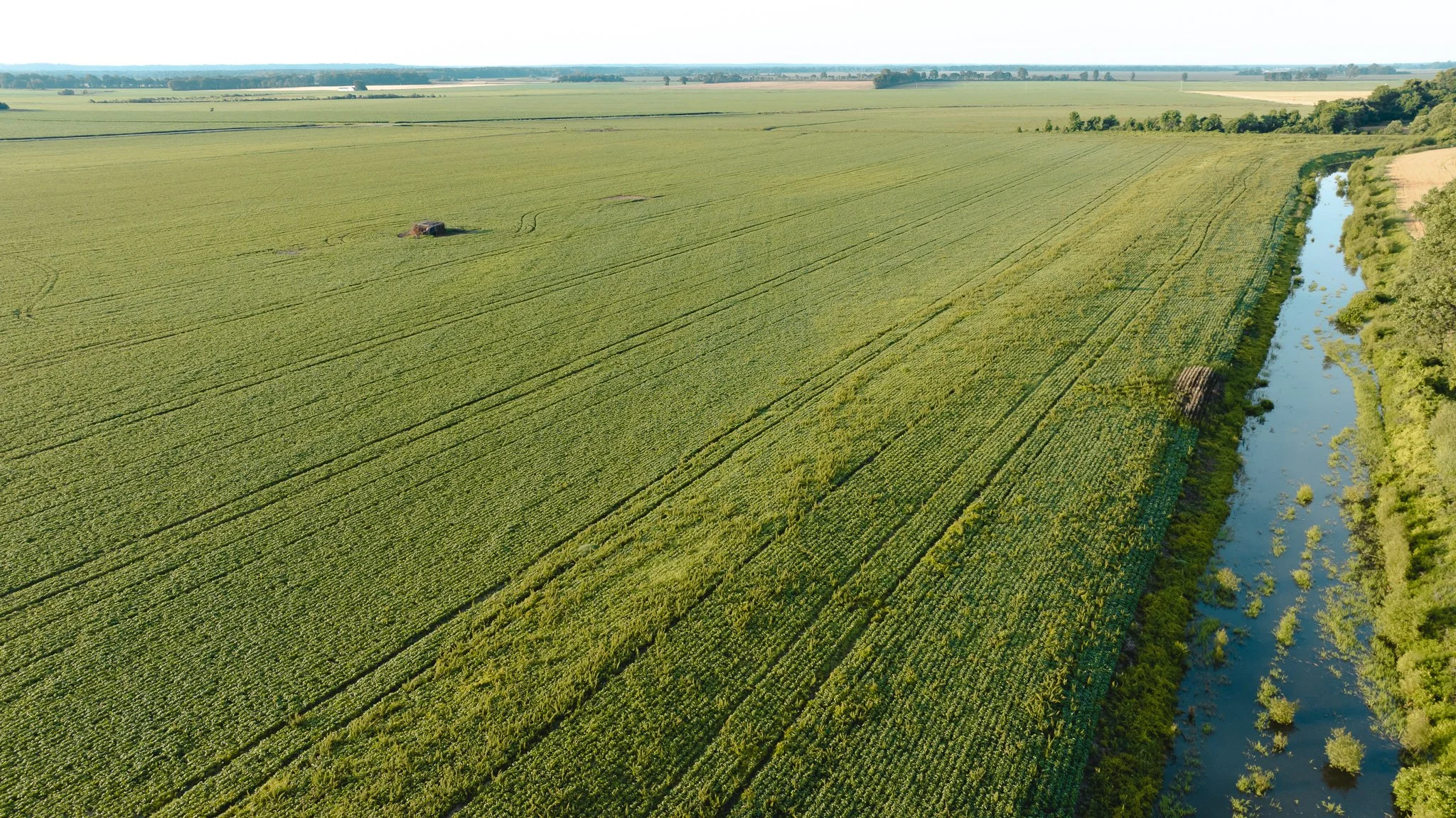 DJI_20260602135400_0024_D.jpg