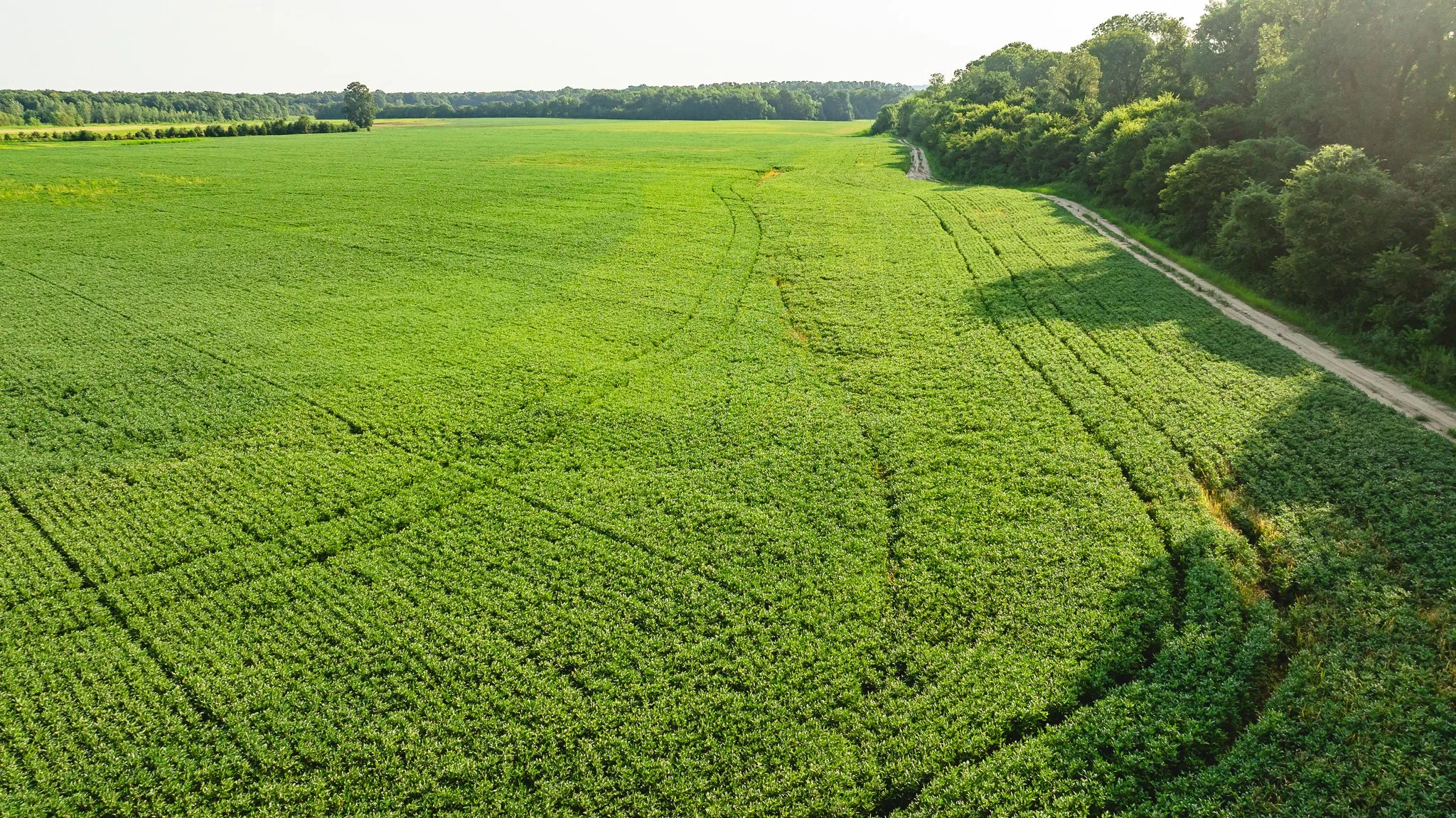 DJI_20260823160332_0012_D.jpg
