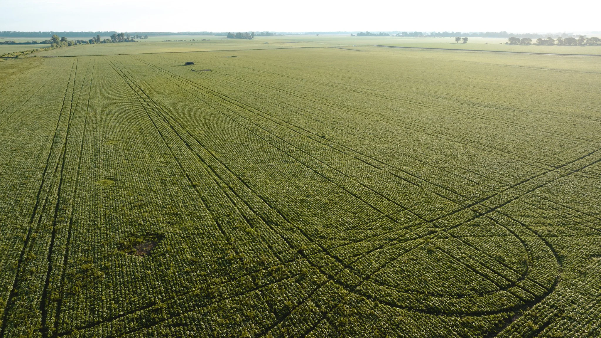 DJI_20260602134807_0011_D.jpg
