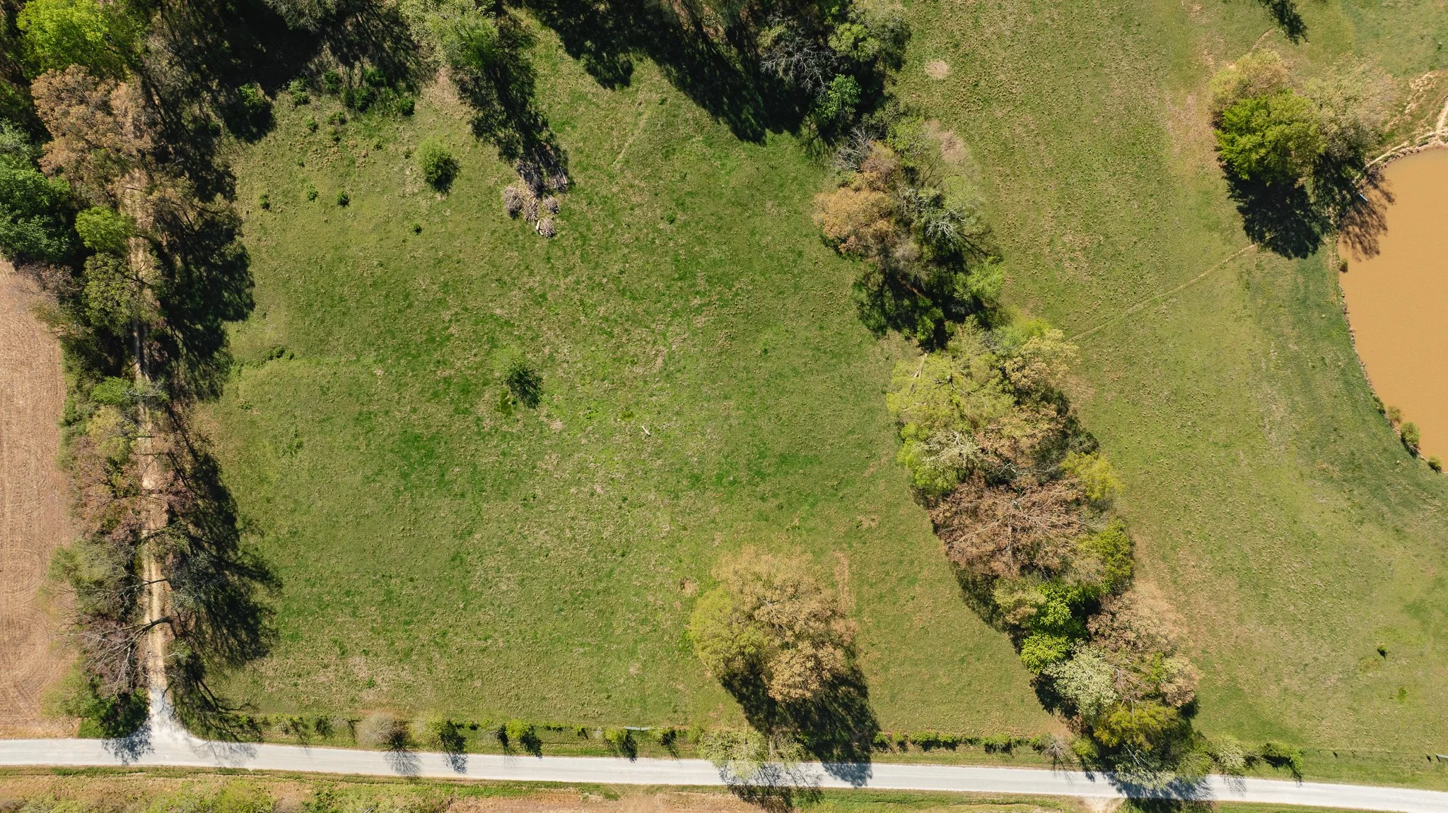 DJI_20260406162535_0047_D.jpg