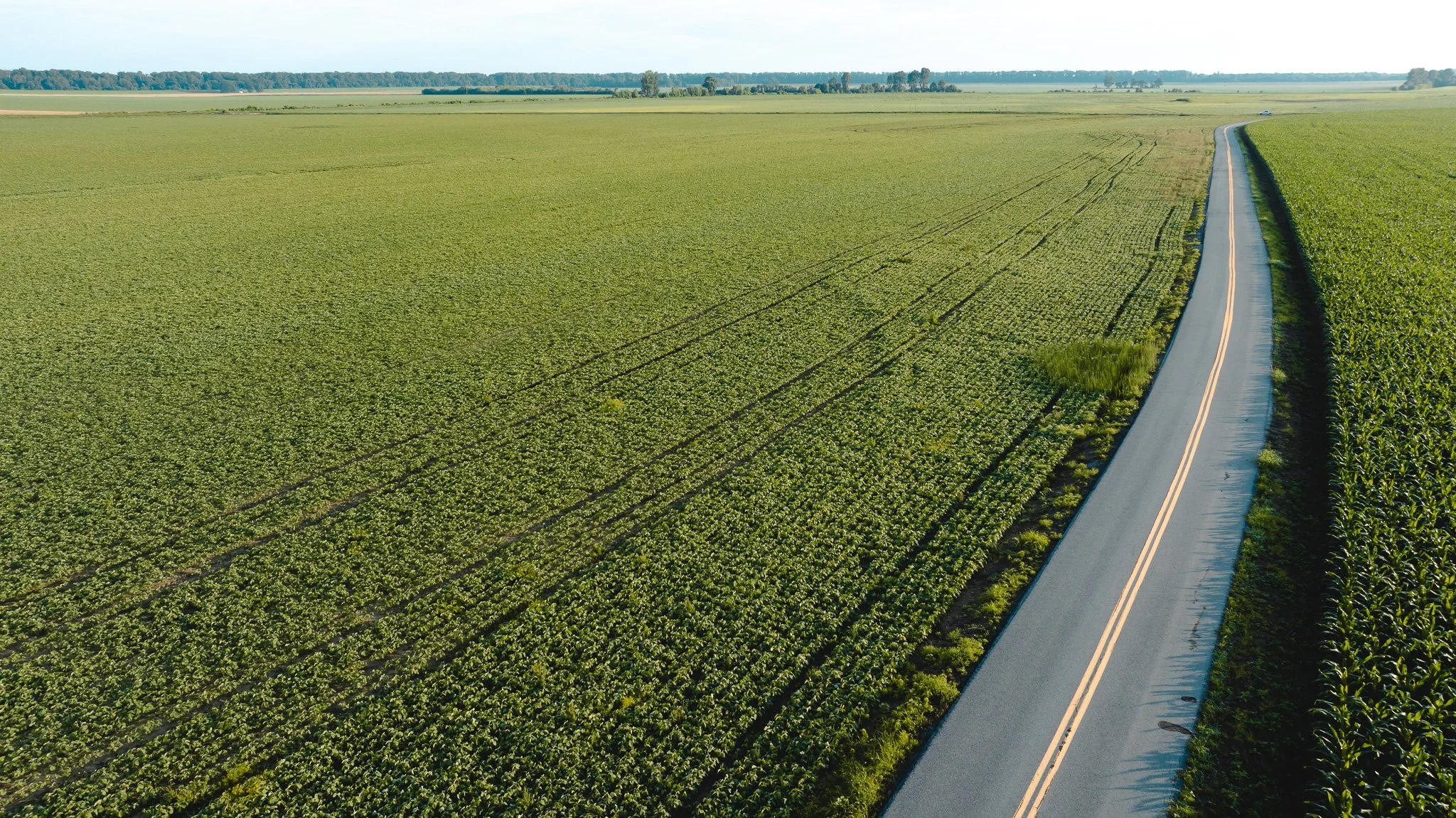 DJI_20260602135842_0036_D.jpg