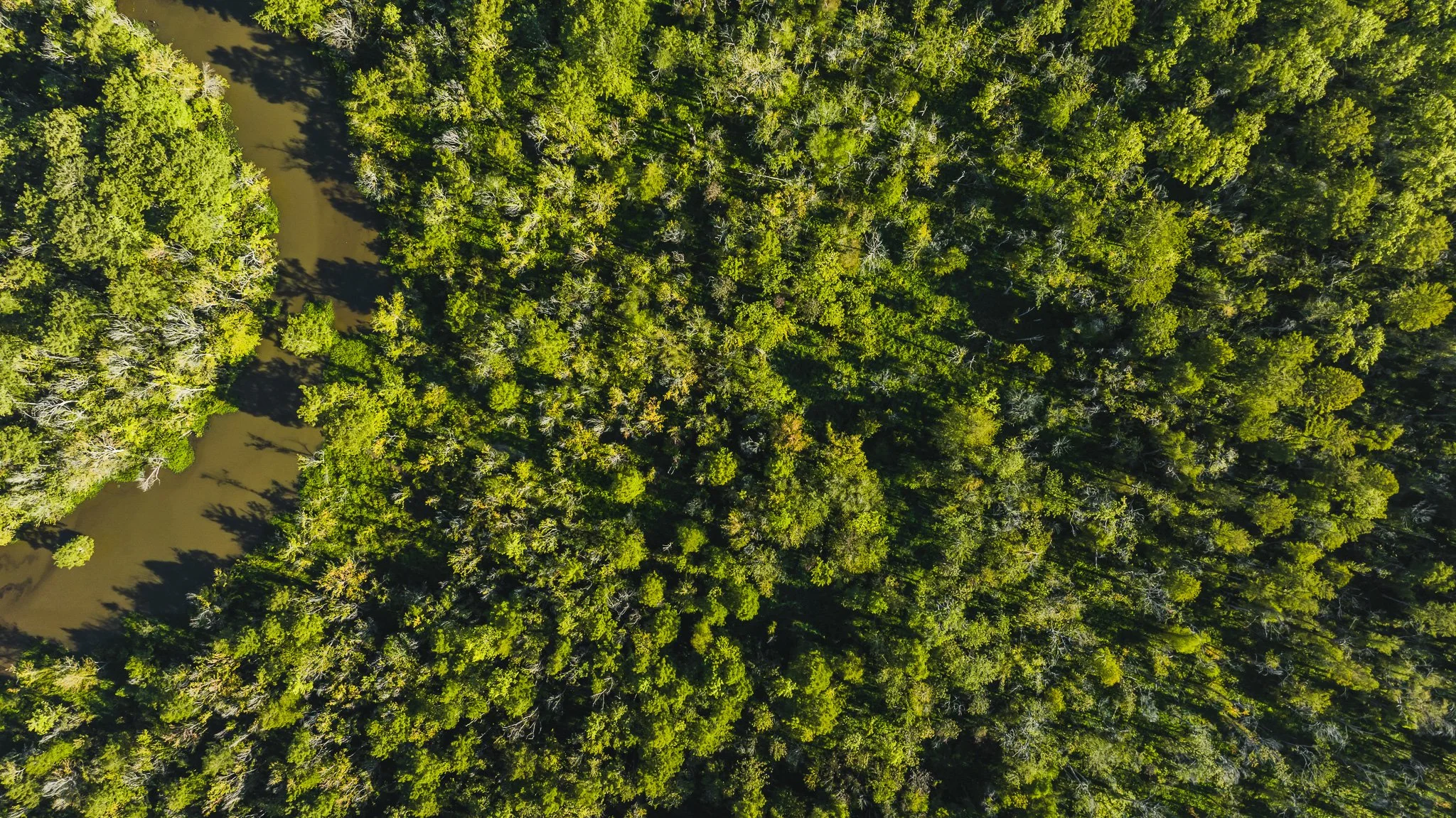 DJI_20250821082310_0020_D.jpg