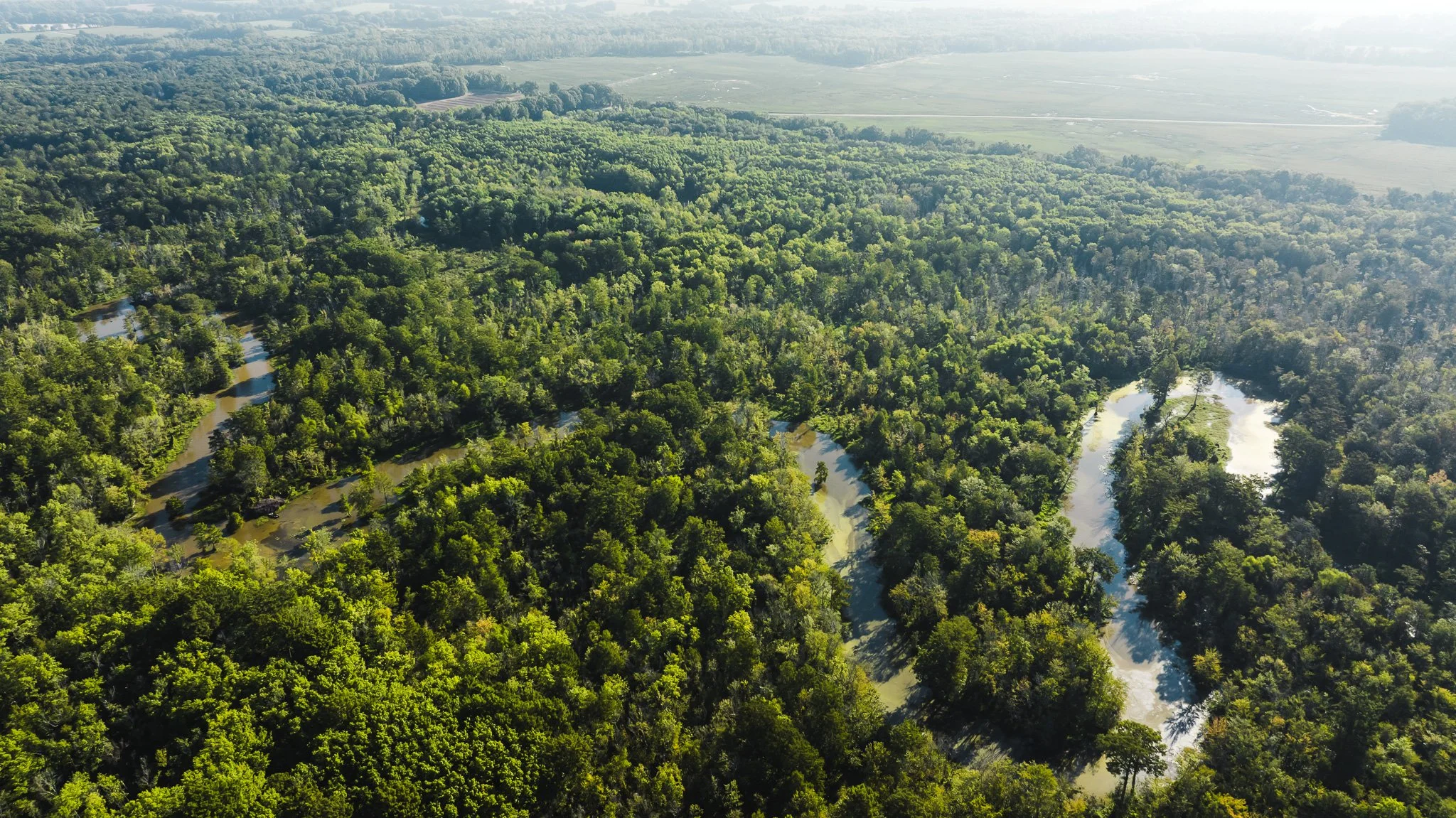 DJI_20250821082142_0018_D.jpg