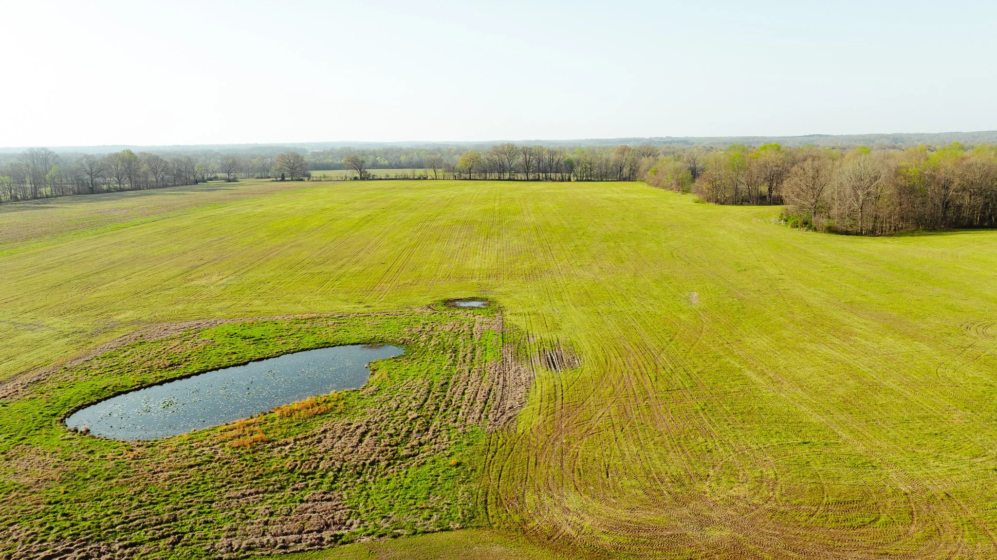 DJI_20260326084955_0027_D.jpg