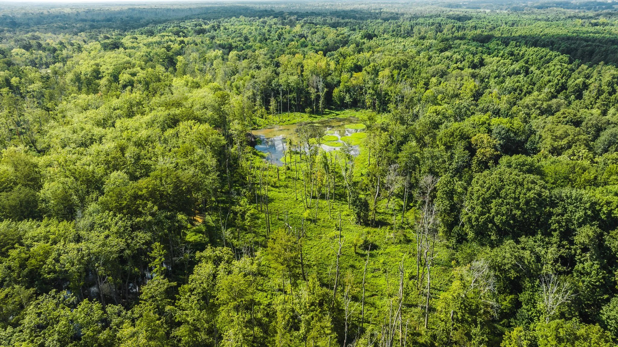 DJI_20250821102735_0107_D.jpg