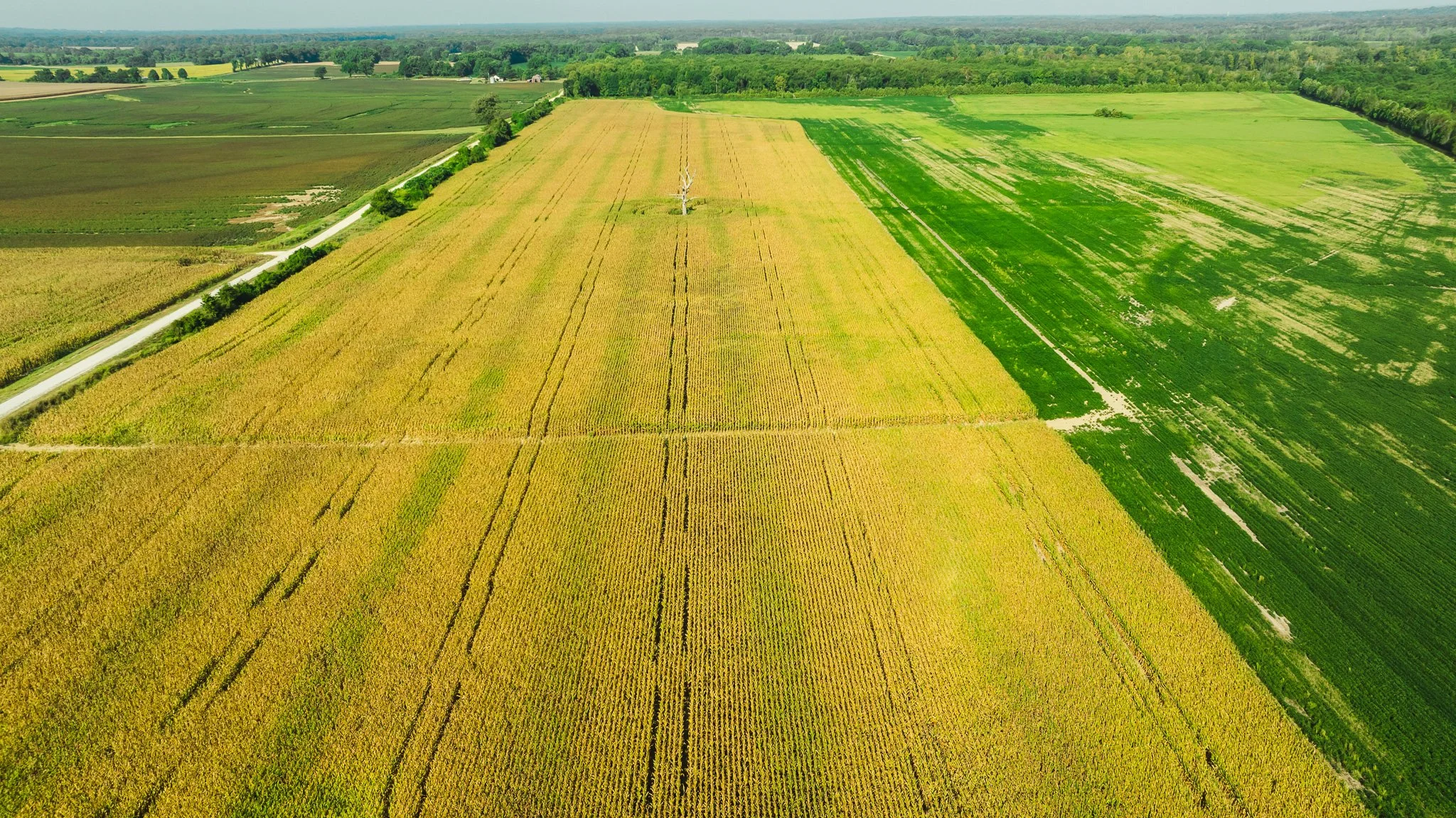 DJI_20250915091659_0006_D.jpg