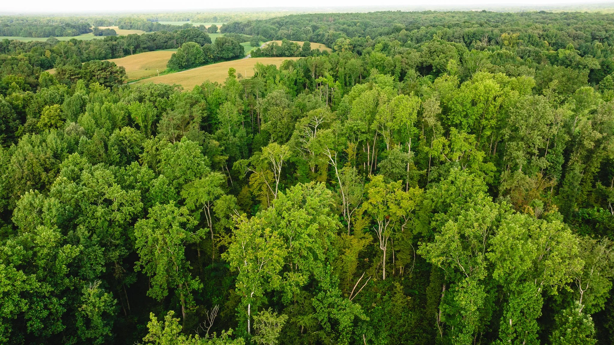 DJI_20260815153616_0013_D.jpg