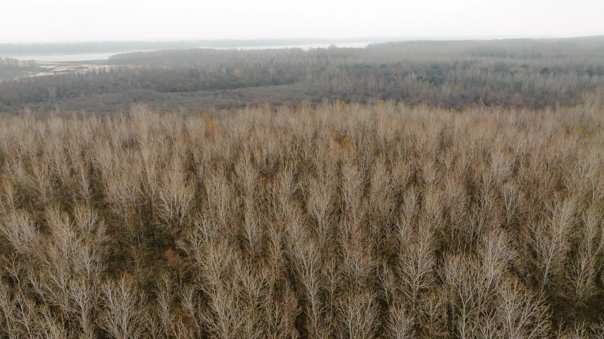 DJI_20251204100130_0044_D.jpg