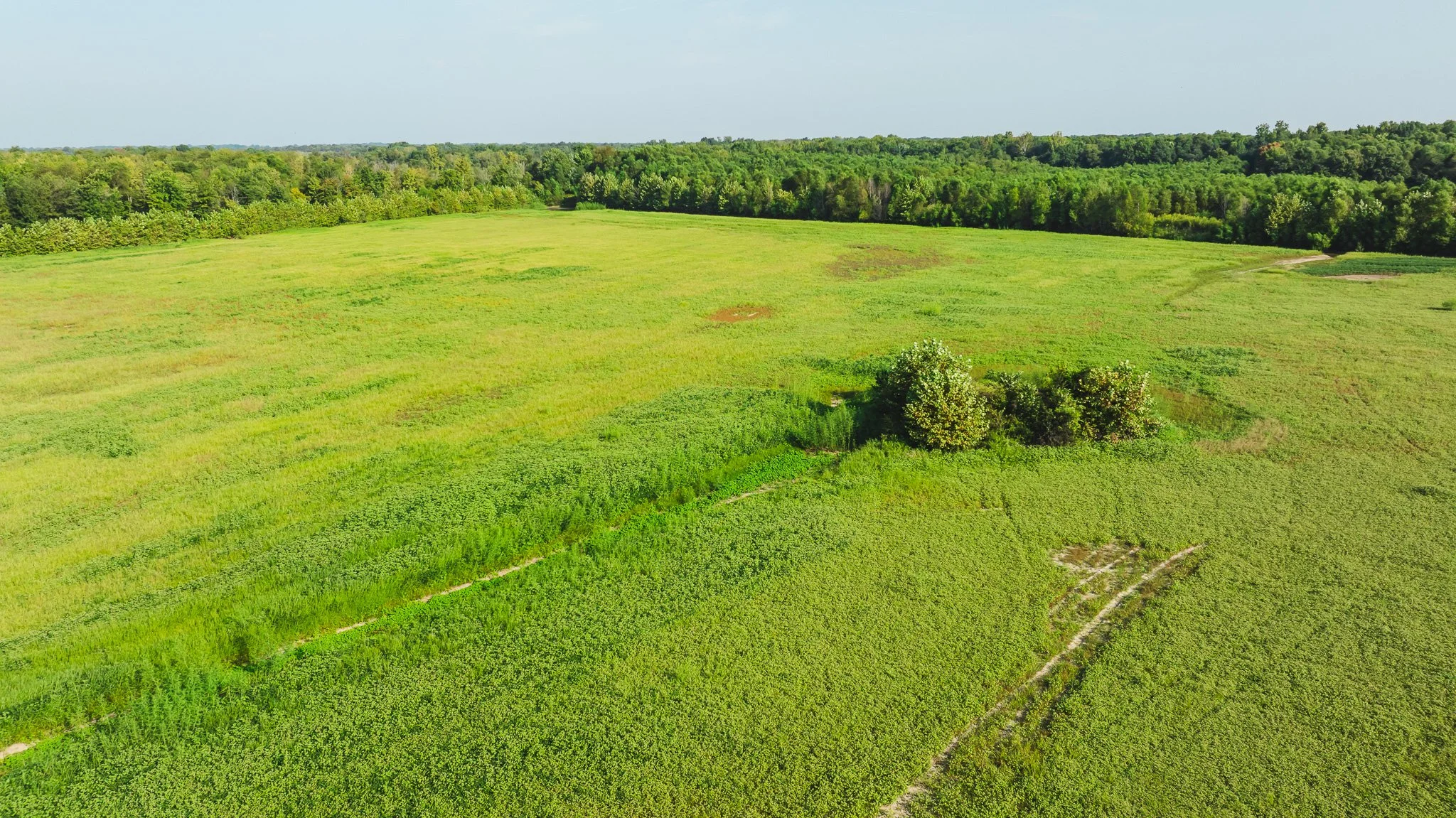 DJI_20250915092044_0016_D.jpg