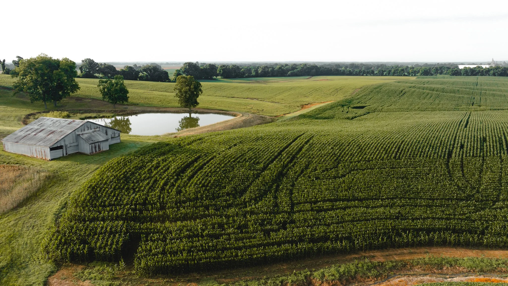 DJI_20260531141240_0094_D.jpg